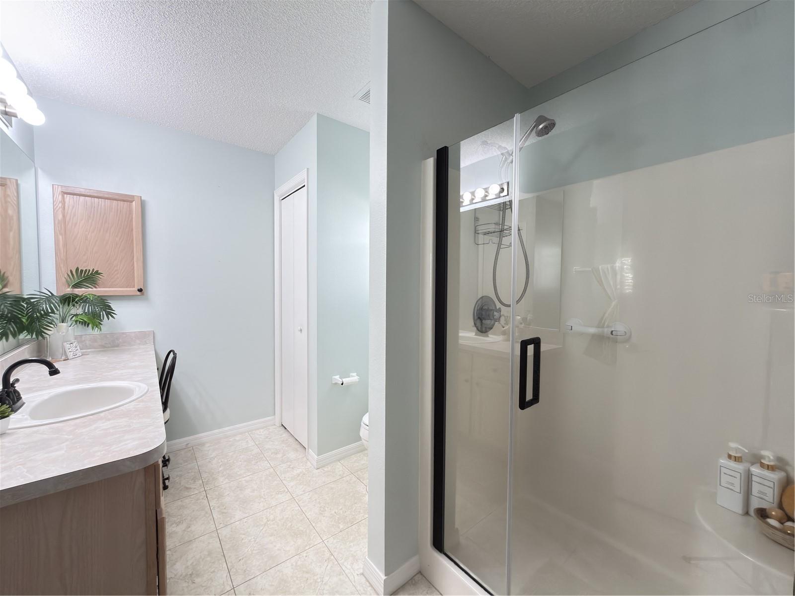 16899 SE 96TH CHAPELWOOD CIR, THE VILLAGES, FL, 32162