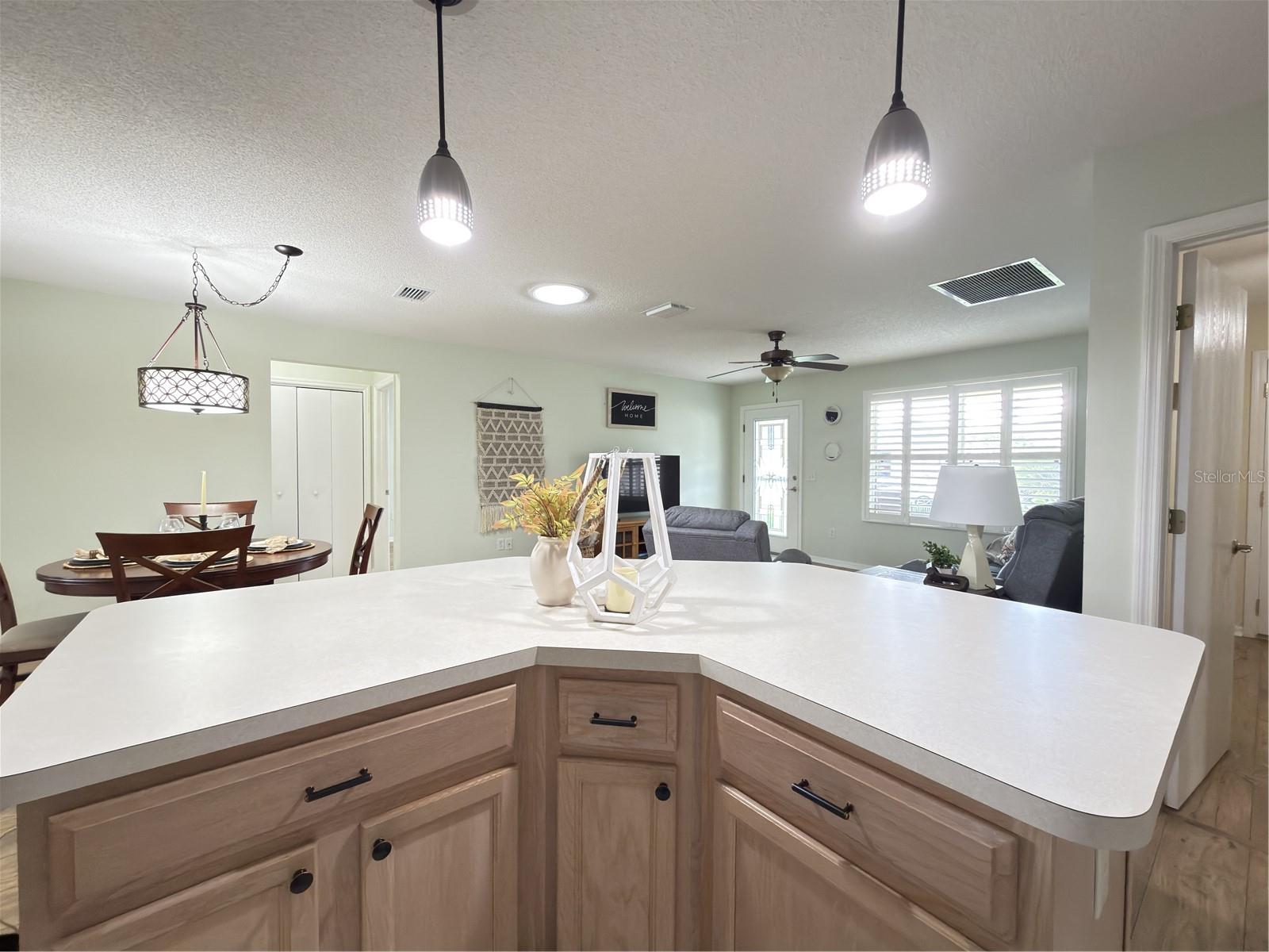 16899 SE 96TH CHAPELWOOD CIR, THE VILLAGES, FL, 32162