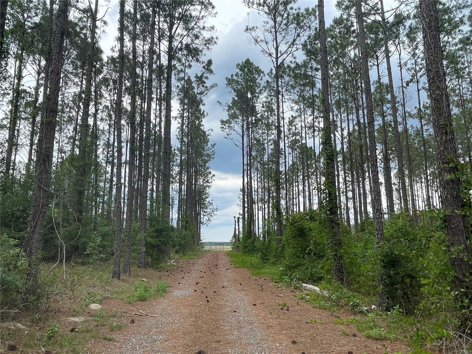 33740 LARKIN RD, DADE CITY, FL, 33523