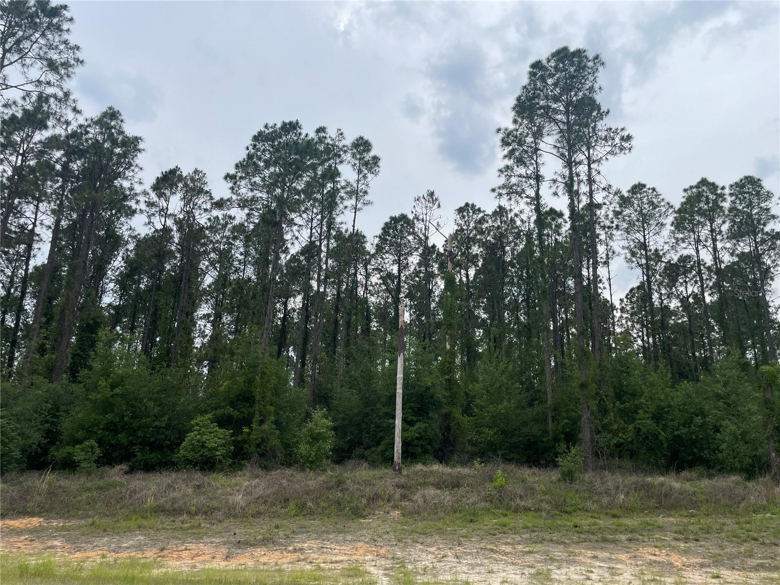 33740 LARKIN RD, DADE CITY, FL, 33523