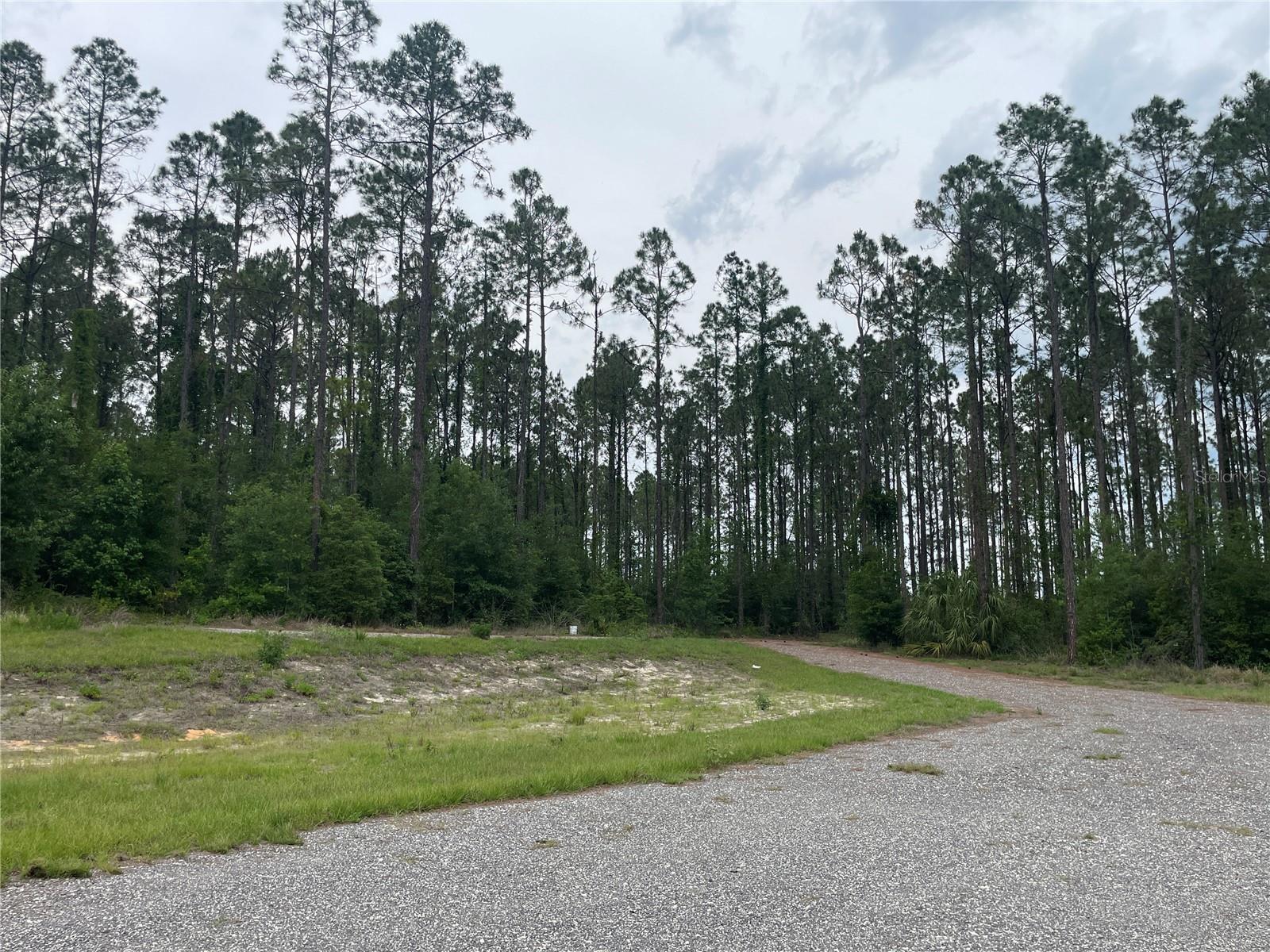33740 LARKIN RD, DADE CITY, FL, 33523