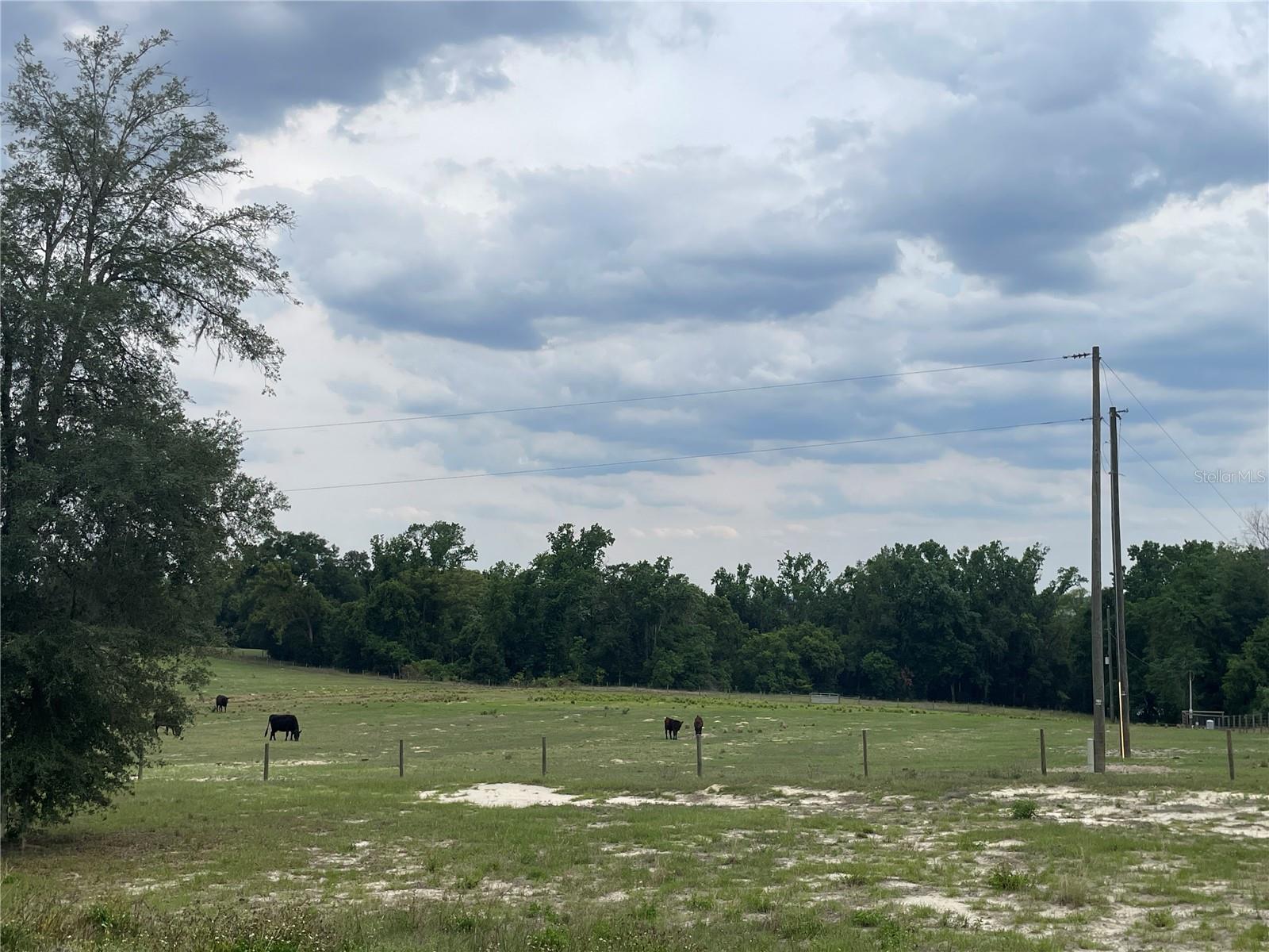 33740 LARKIN RD, DADE CITY, FL, 33523