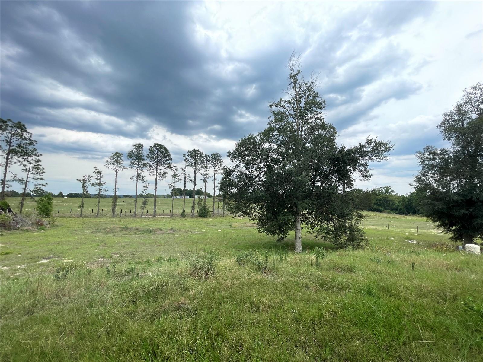 33740 LARKIN RD, DADE CITY, FL, 33523