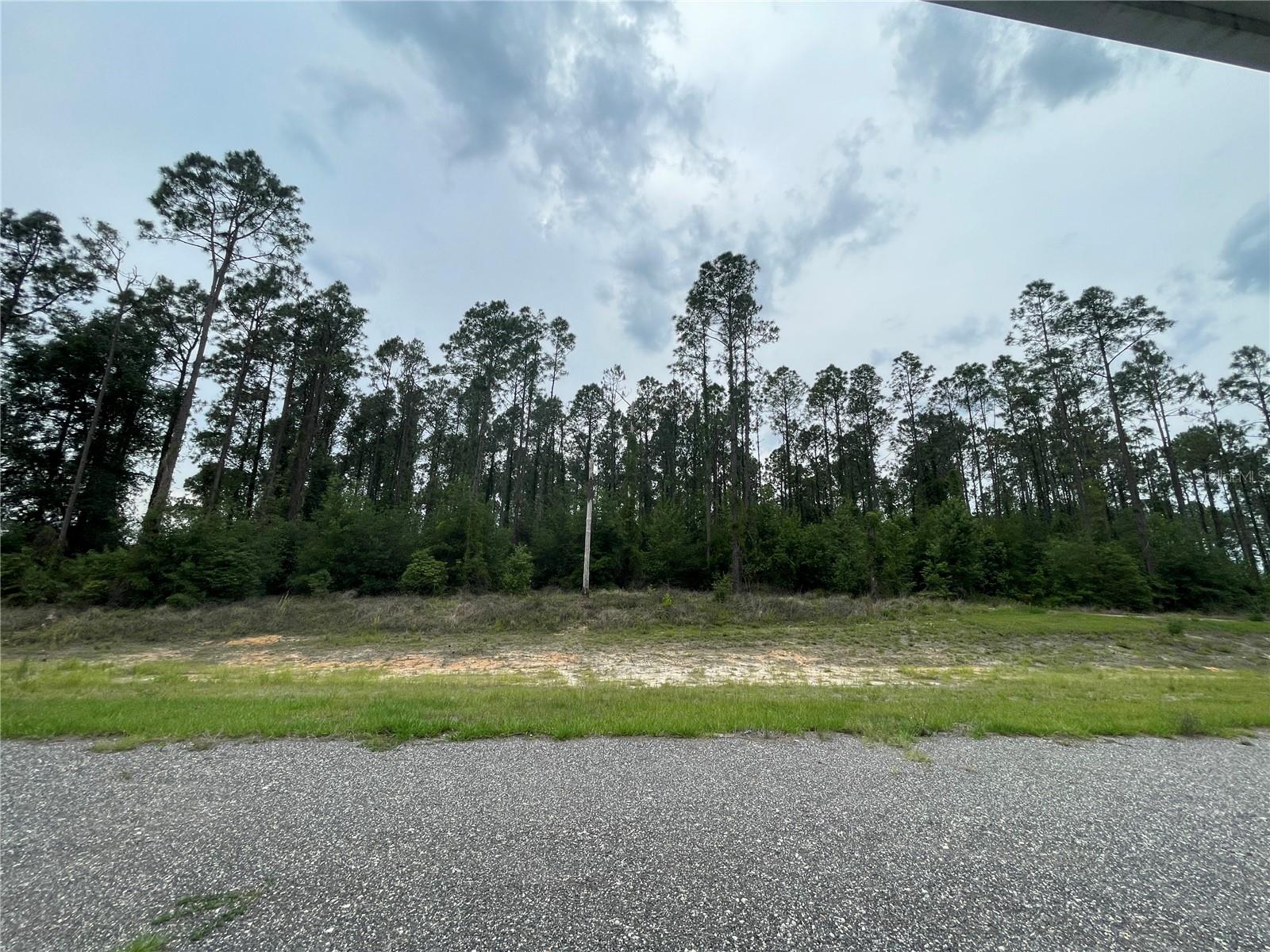 33740 LARKIN RD, DADE CITY, FL, 33523