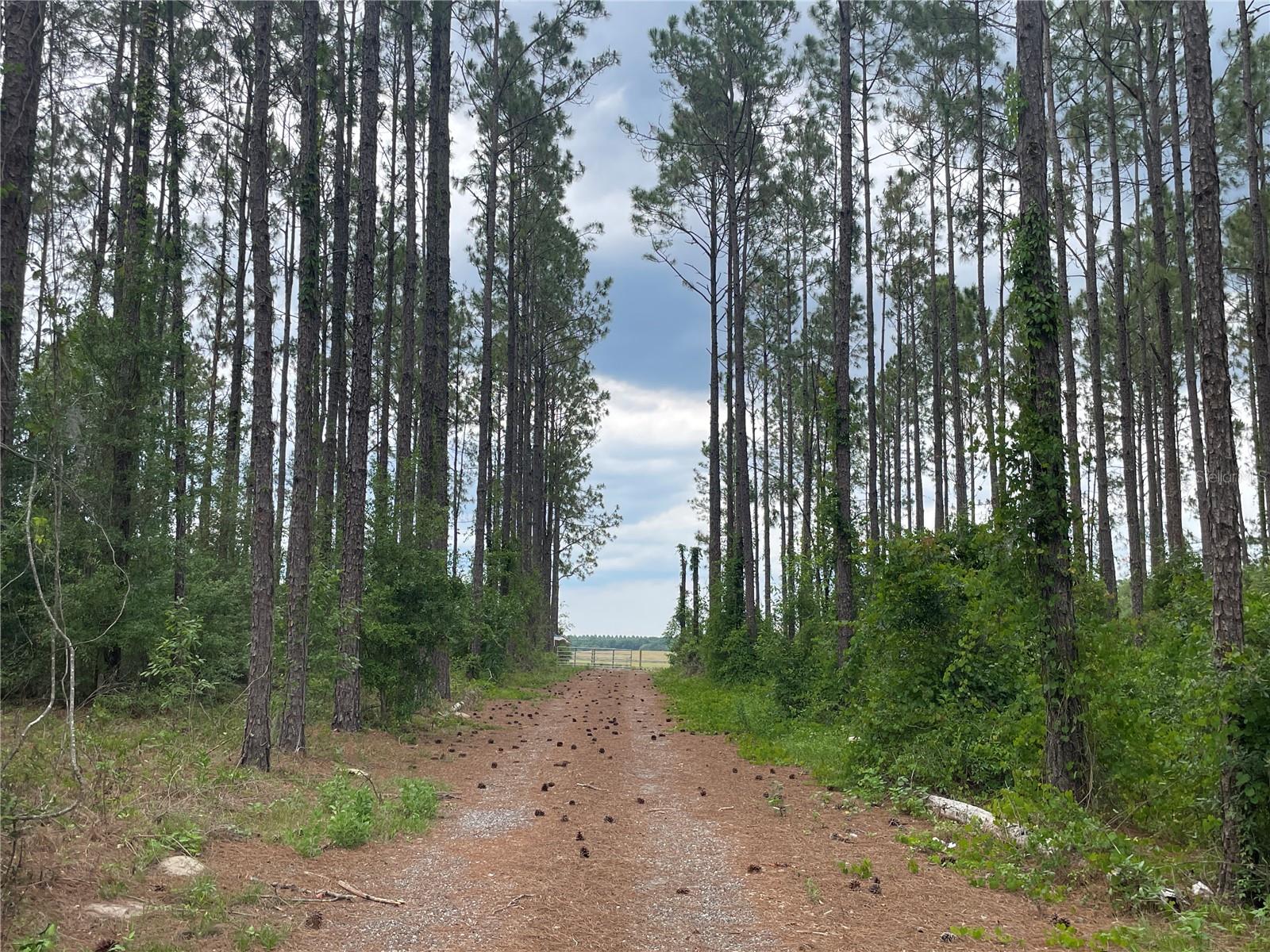 33740 LARKIN RD, DADE CITY, FL, 33523