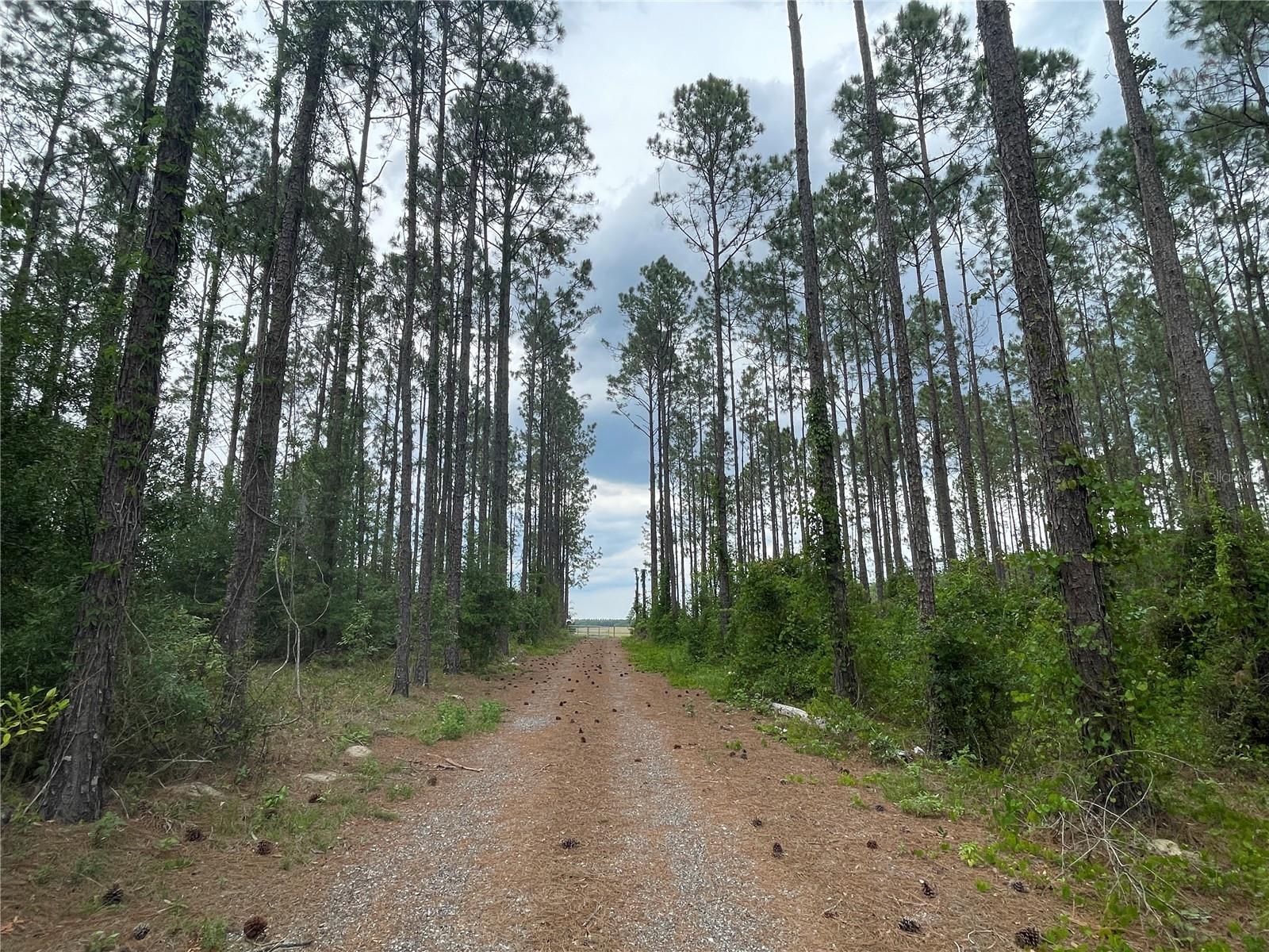 33740 LARKIN RD, DADE CITY, FL, 33523