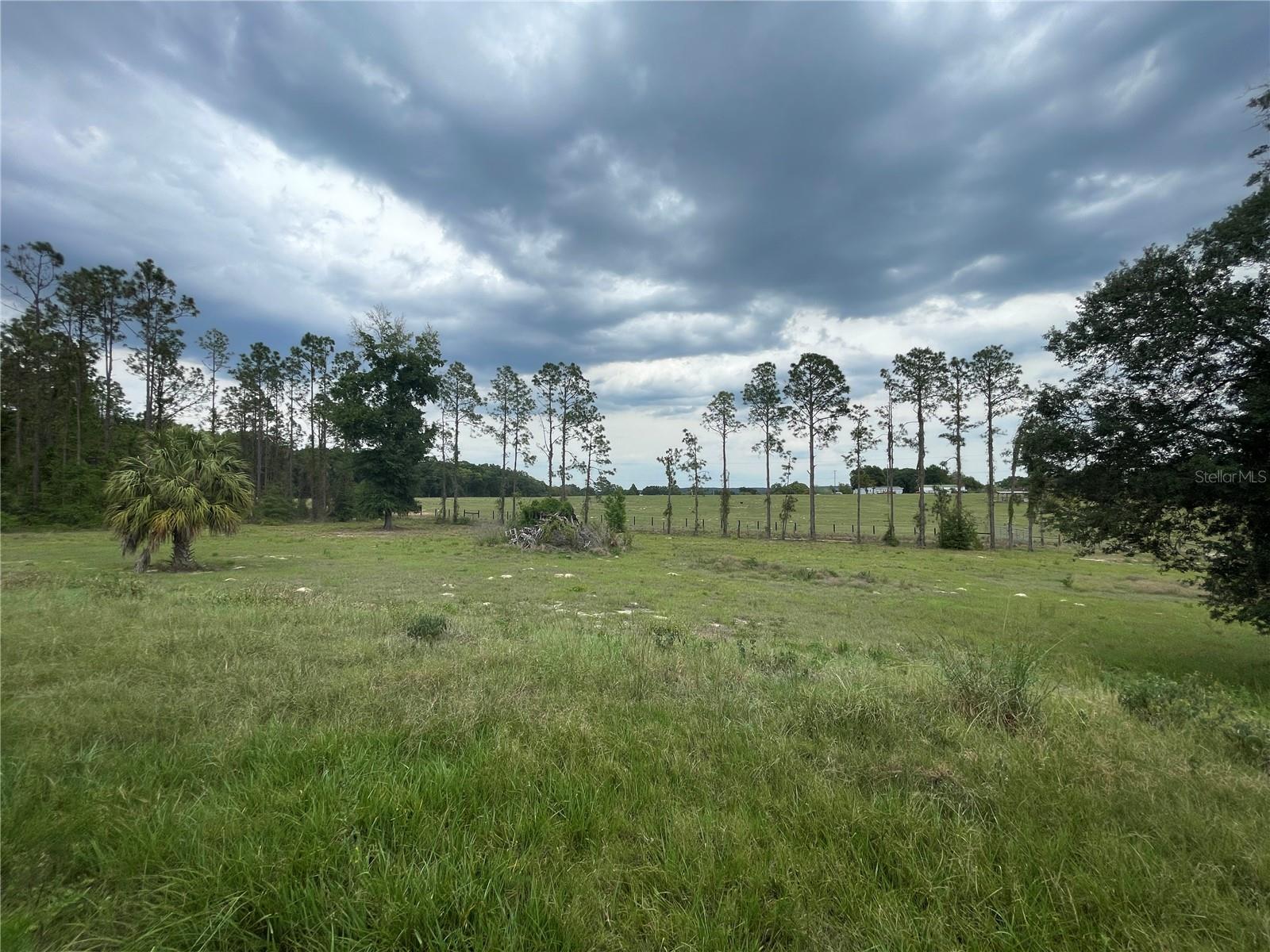 33740 LARKIN RD, DADE CITY, FL, 33523