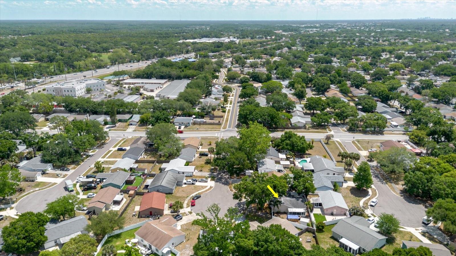 2009 PEPPERTREE CT, OLDSMAR, FL, 34677