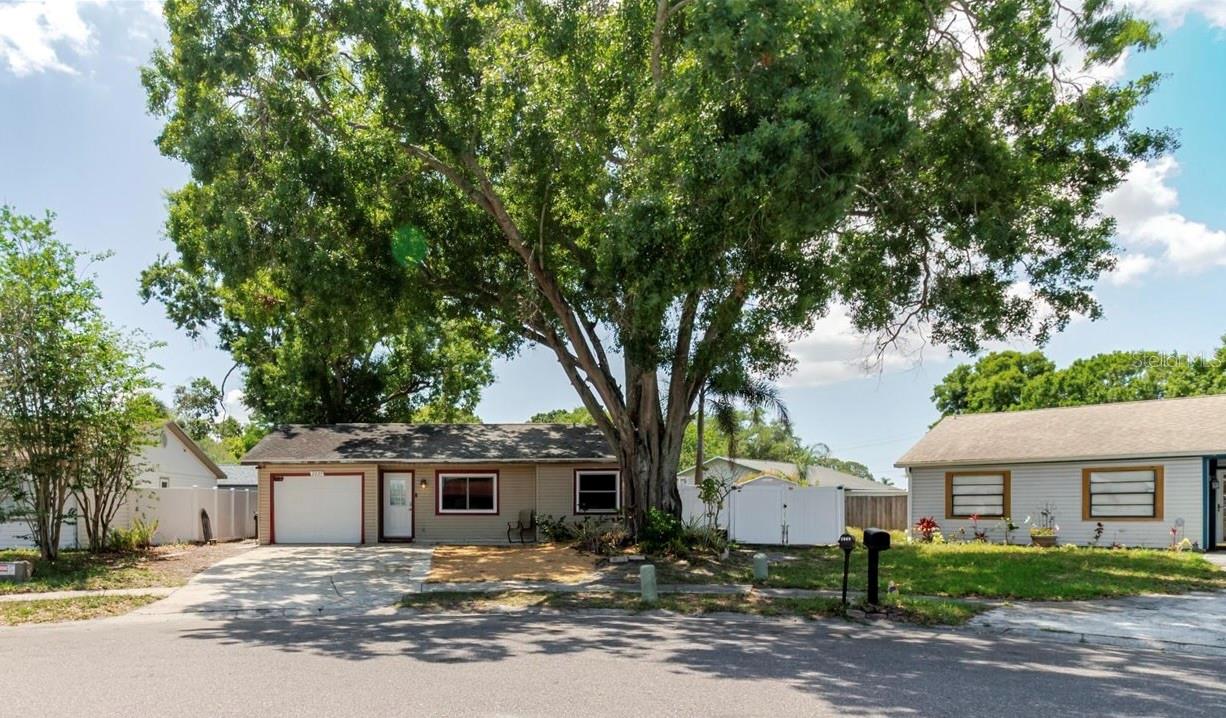 2009 PEPPERTREE CT, OLDSMAR, FL, 34677