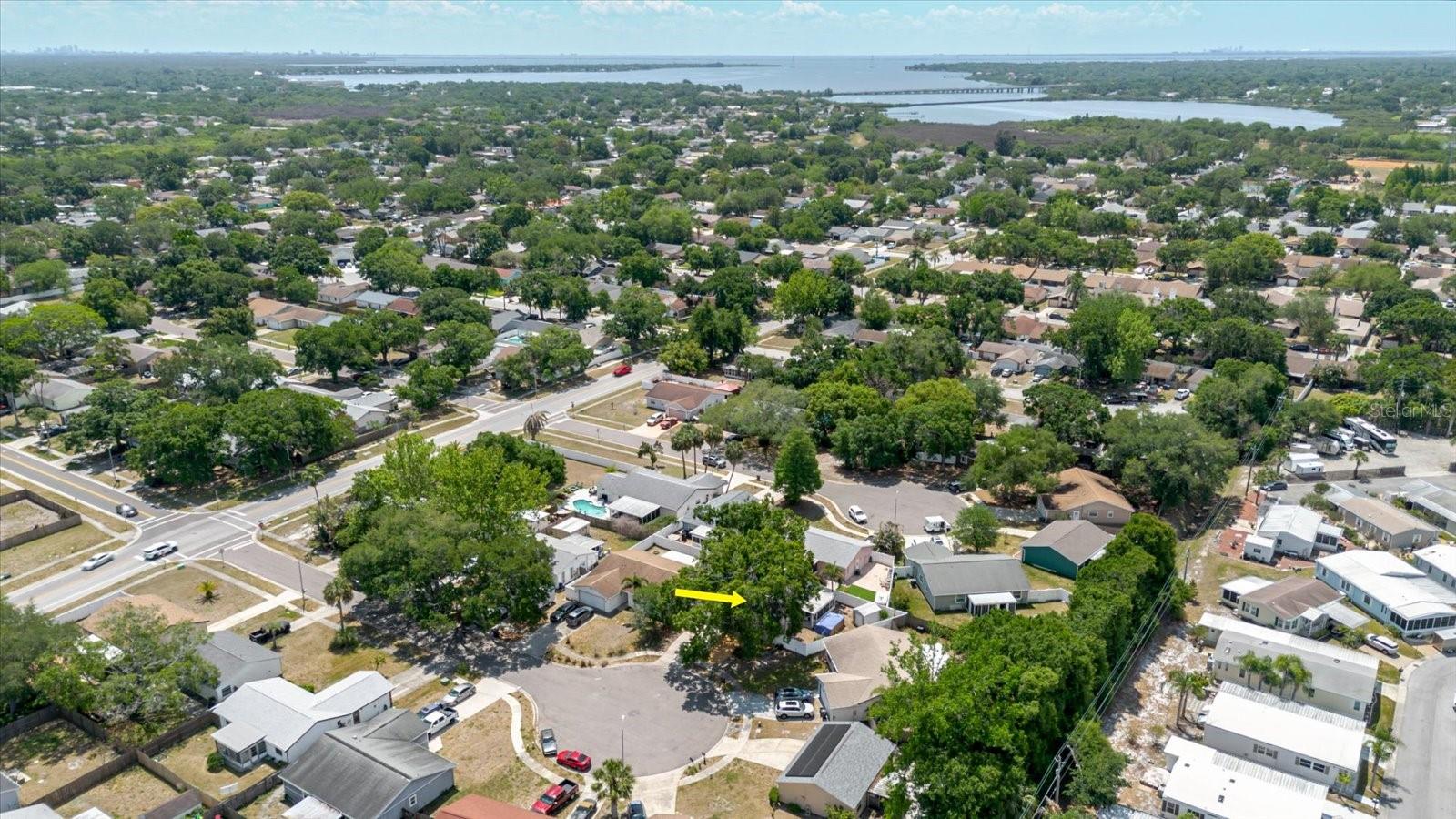 2009 PEPPERTREE CT, OLDSMAR, FL, 34677