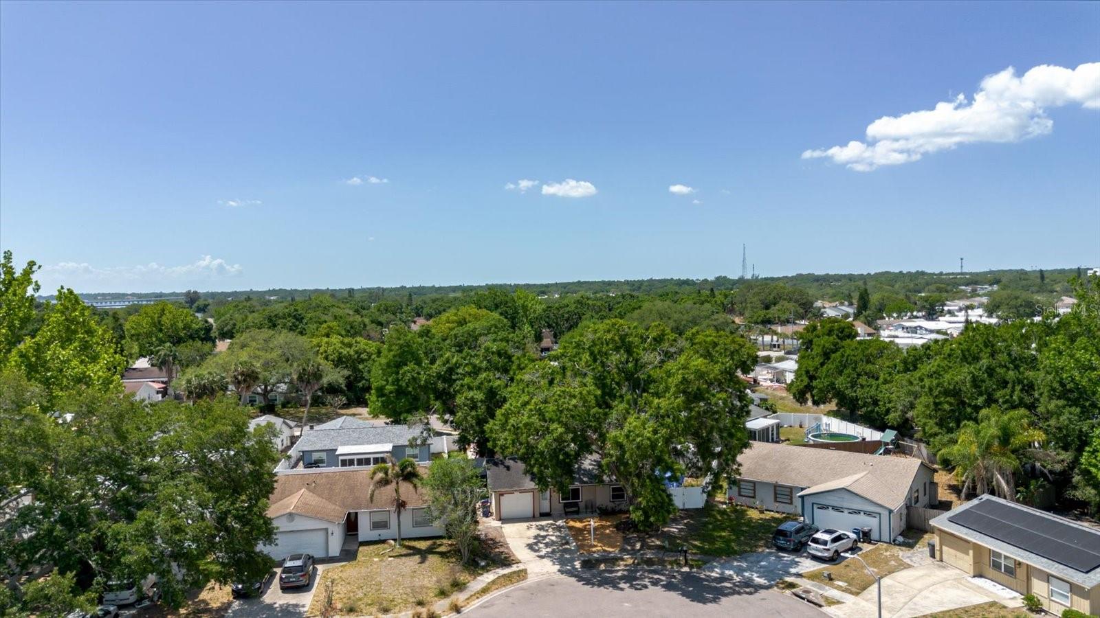 2009 PEPPERTREE CT, OLDSMAR, FL, 34677