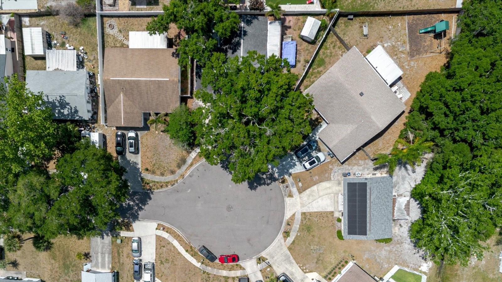 2009 PEPPERTREE CT, OLDSMAR, FL, 34677