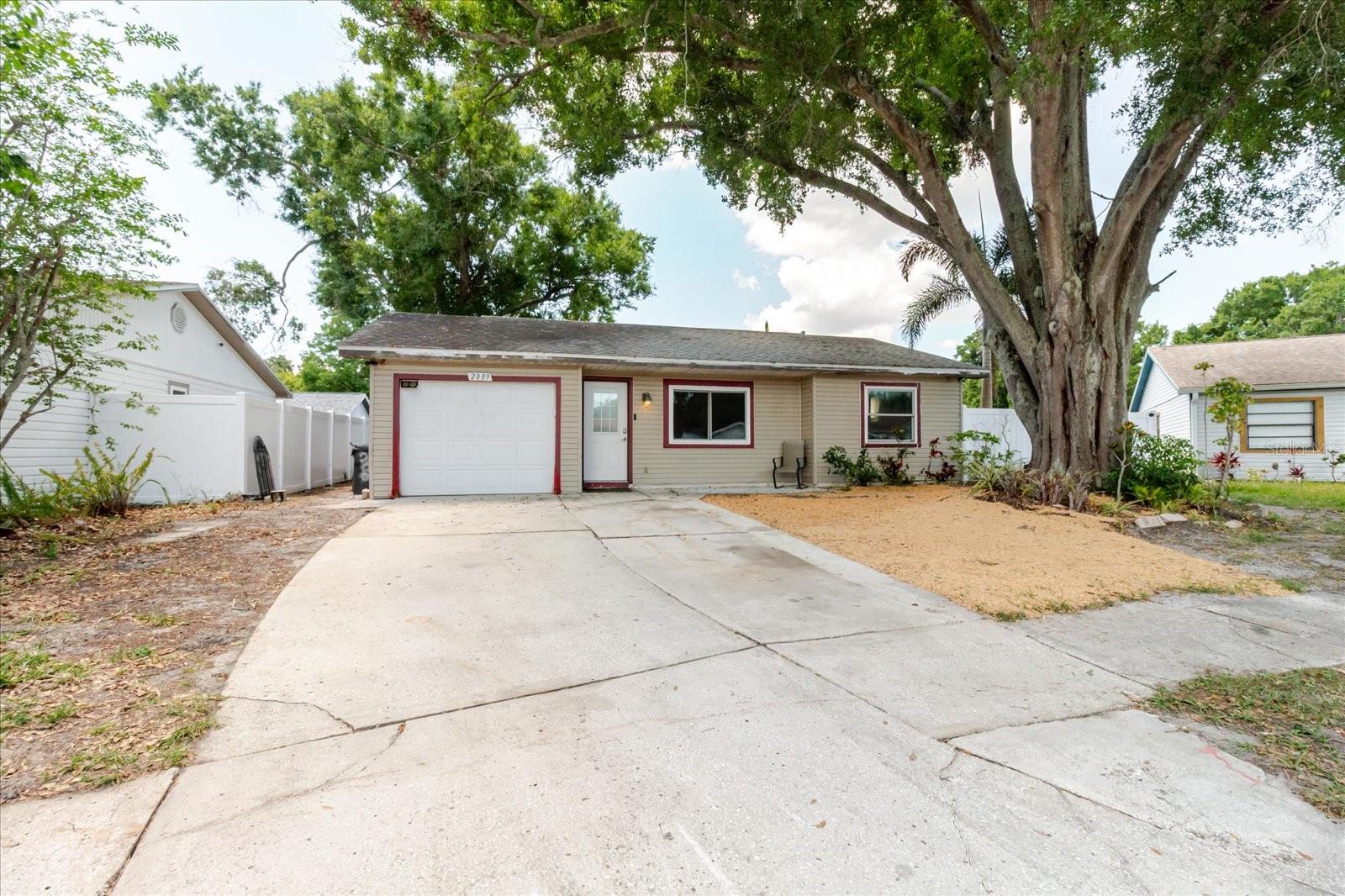 2009 PEPPERTREE CT, OLDSMAR, FL, 34677
