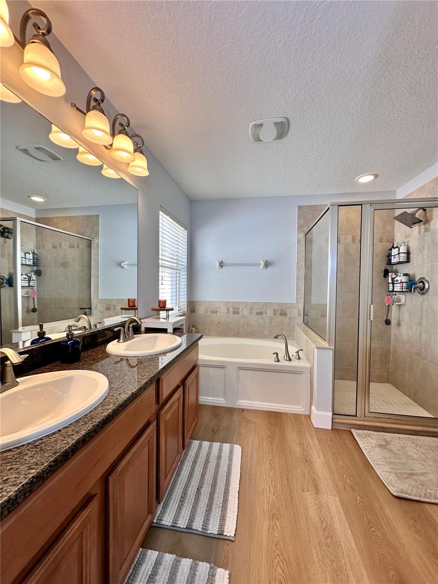 18353 HOLLAND HOUSE LOOP, LAND O LAKES, FL, 34638