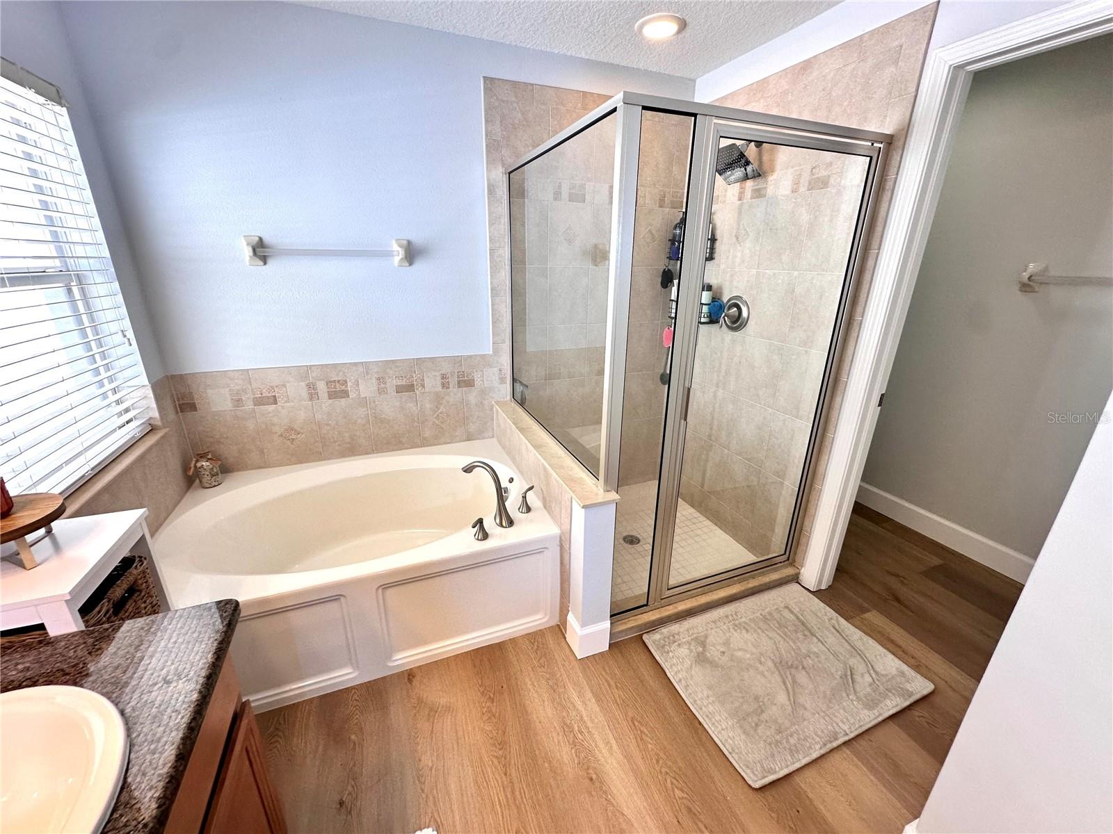 18353 HOLLAND HOUSE LOOP, LAND O LAKES, FL, 34638