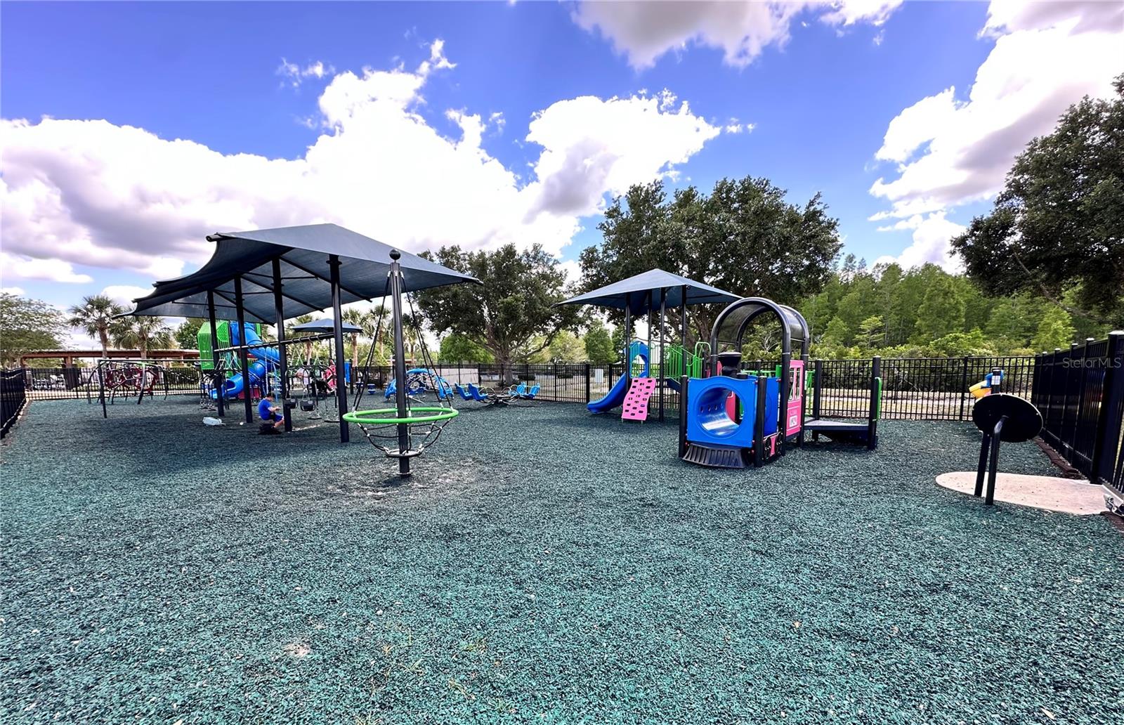 18353 HOLLAND HOUSE LOOP, LAND O LAKES, FL, 34638