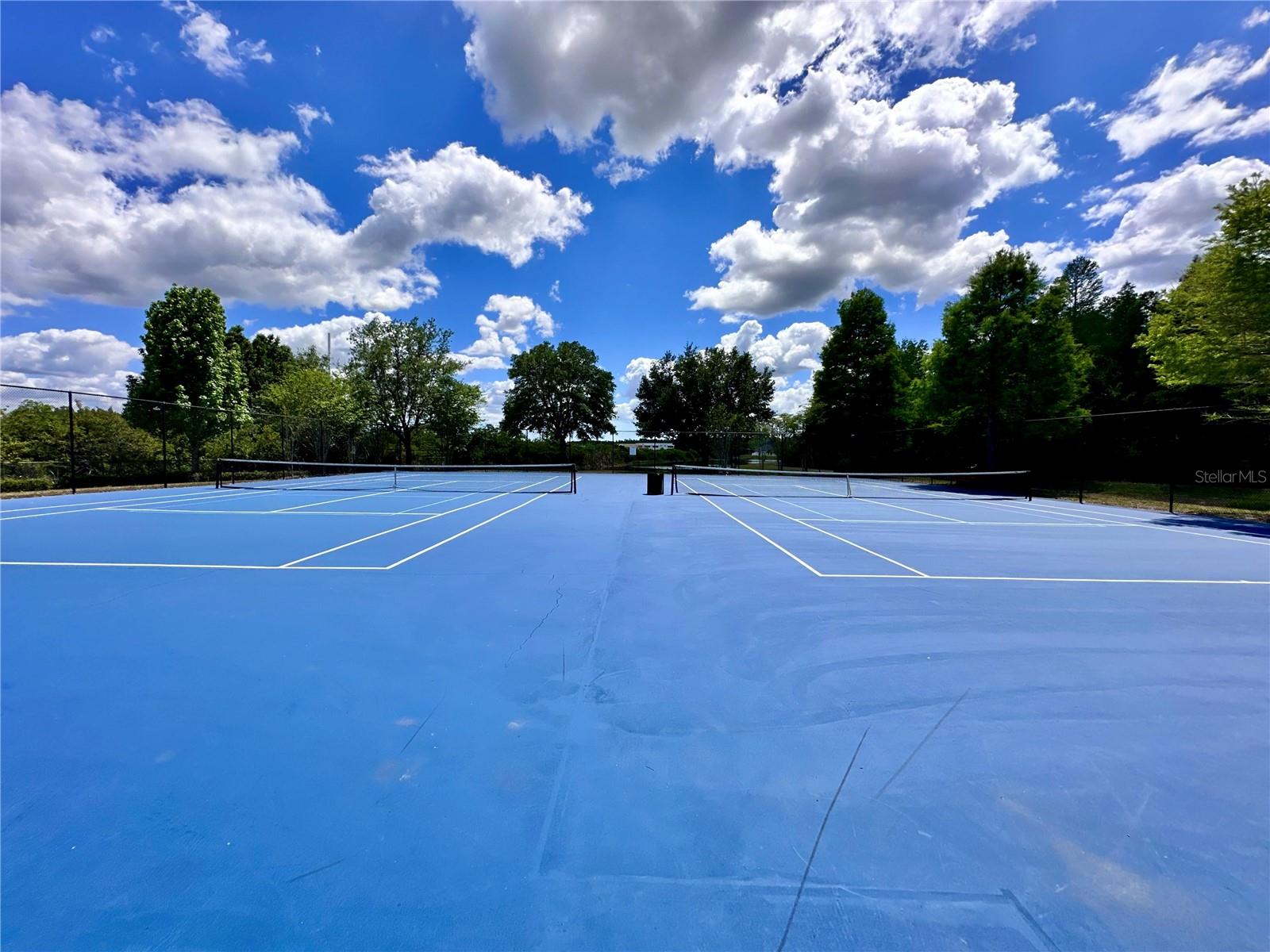 18353 HOLLAND HOUSE LOOP, LAND O LAKES, FL, 34638