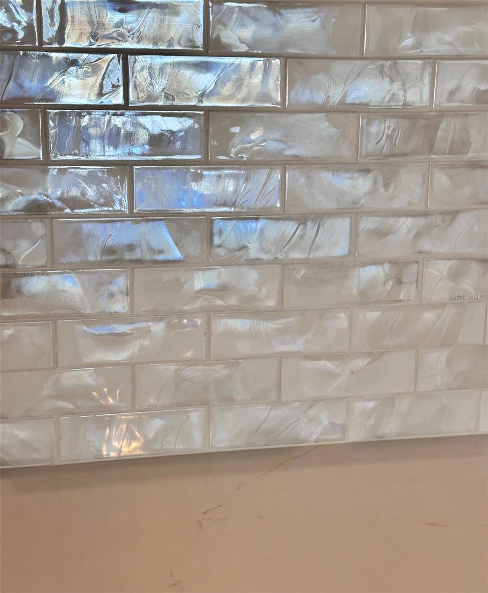 18353 HOLLAND HOUSE LOOP, LAND O LAKES, FL, 34638