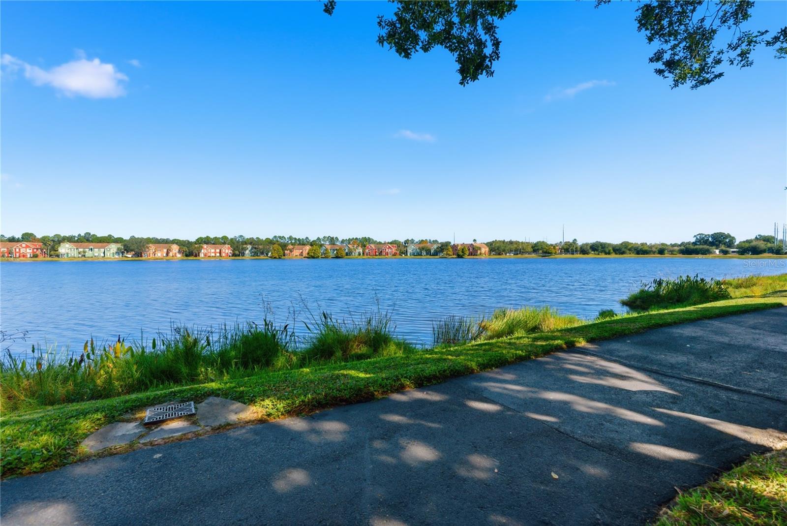 9646 LAKE CHASE ISLAND WAY #9646, TAMPA, FL, 33626