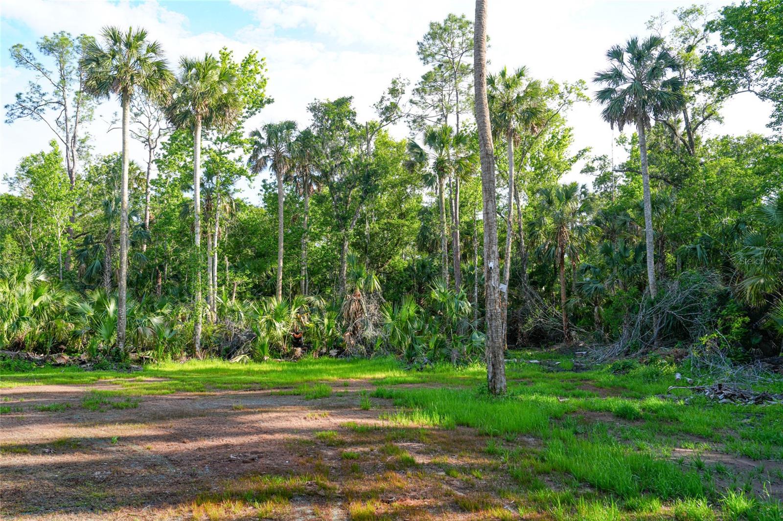 6381 CHERRY LN, BUNNELL, FL, 32110