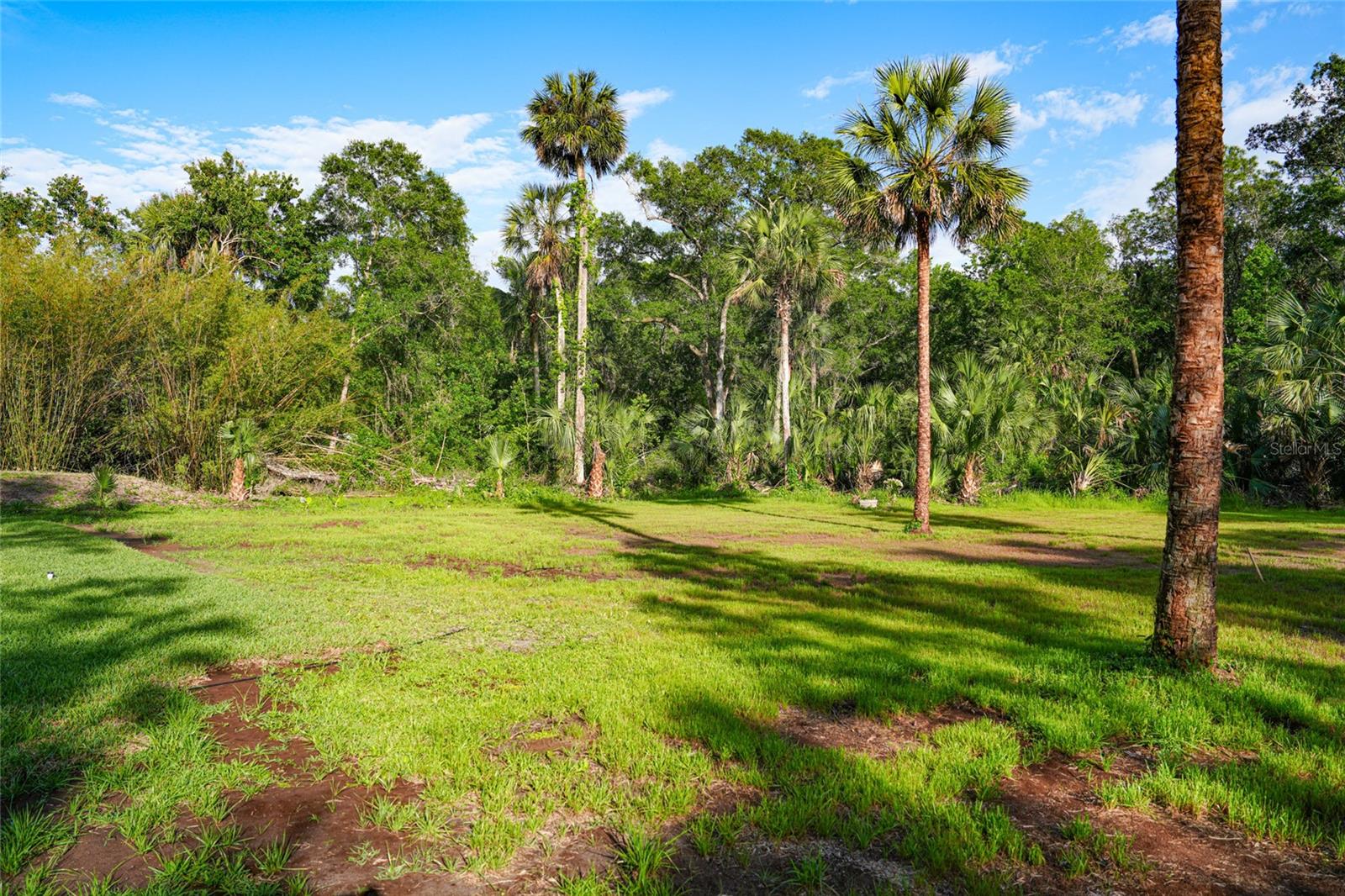 6381 CHERRY LN, BUNNELL, FL, 32110