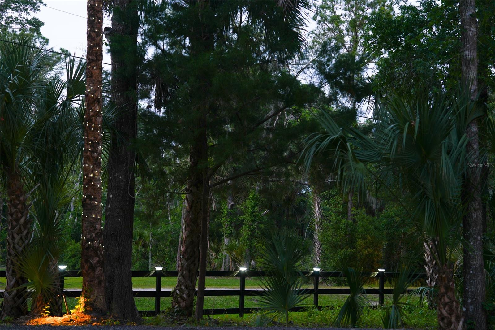 6381 CHERRY LN, BUNNELL, FL, 32110