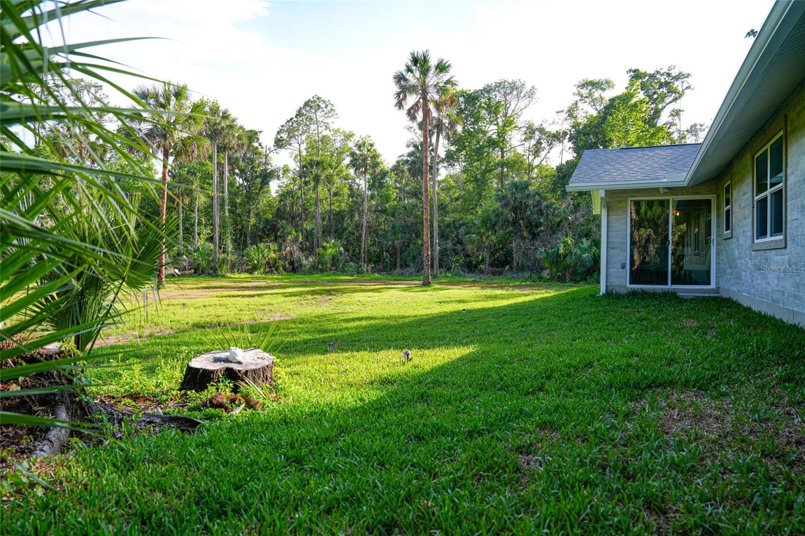 6381 CHERRY LN, BUNNELL, FL, 32110