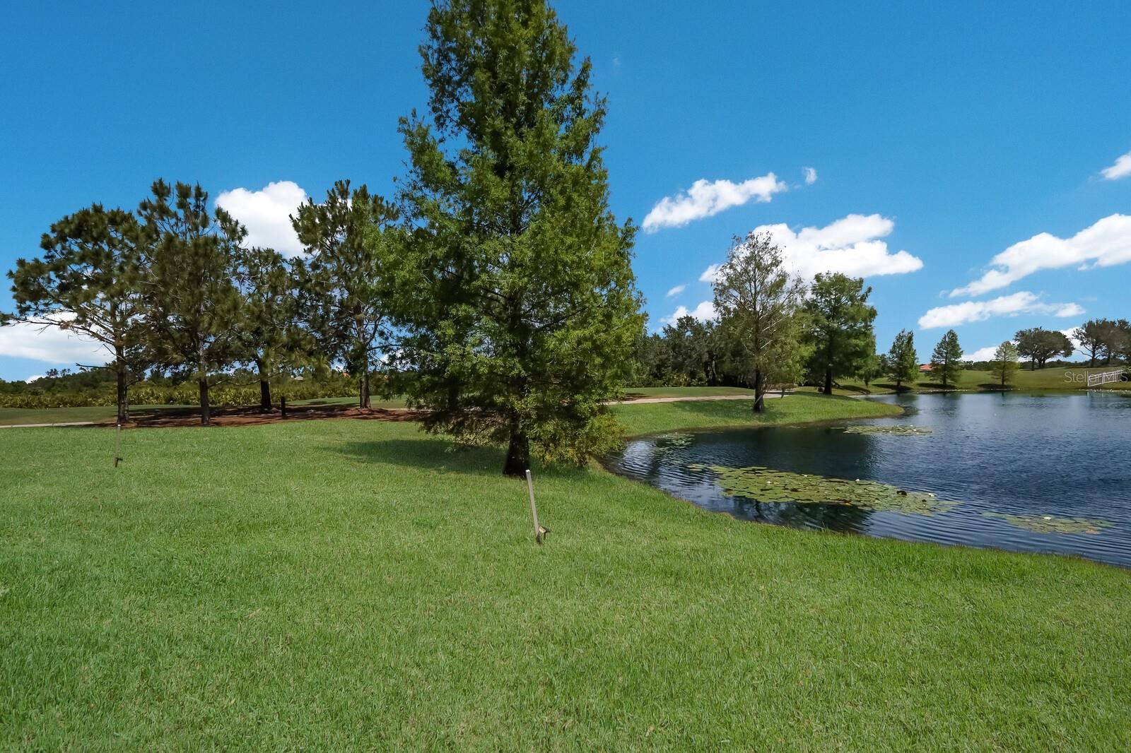 15422 HELMSDALE PL, LAKEWOOD RANCH, FL, 34202