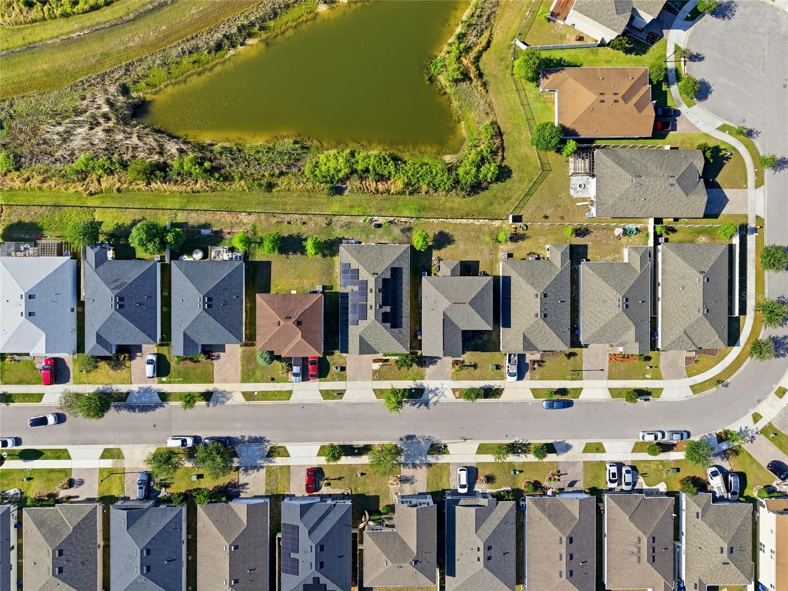 6461 DOMENICO CT, GROVELAND, FL, 34736