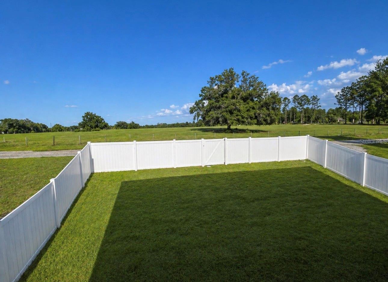 239 CURTIS AVE, GROVELAND, FL, 34736