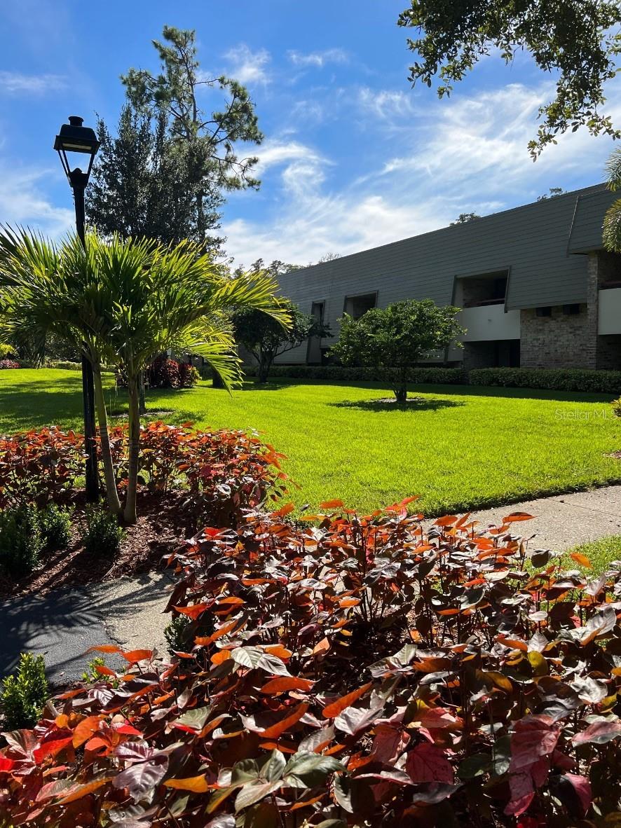 36750 US HIGHWAY 19 N #6-109, PALM HARBOR, FL, 34683