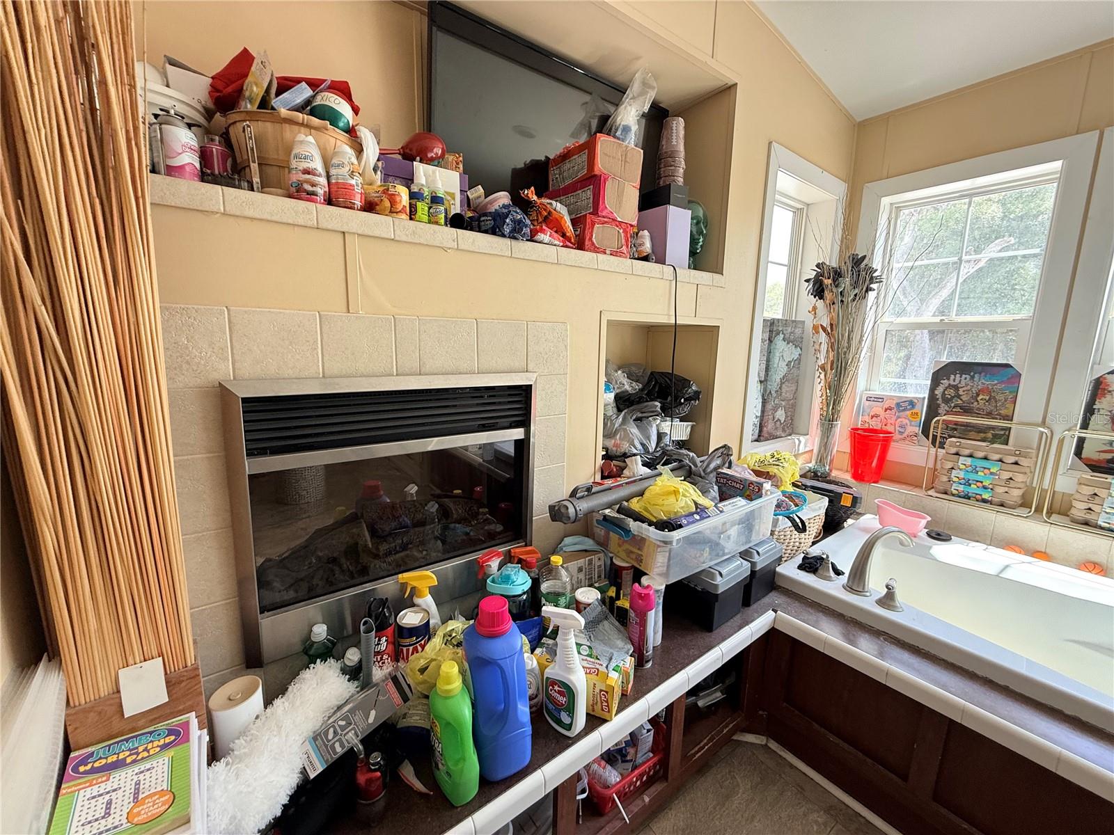21520 SE 147TH LN, UMATILLA, FL, 32784