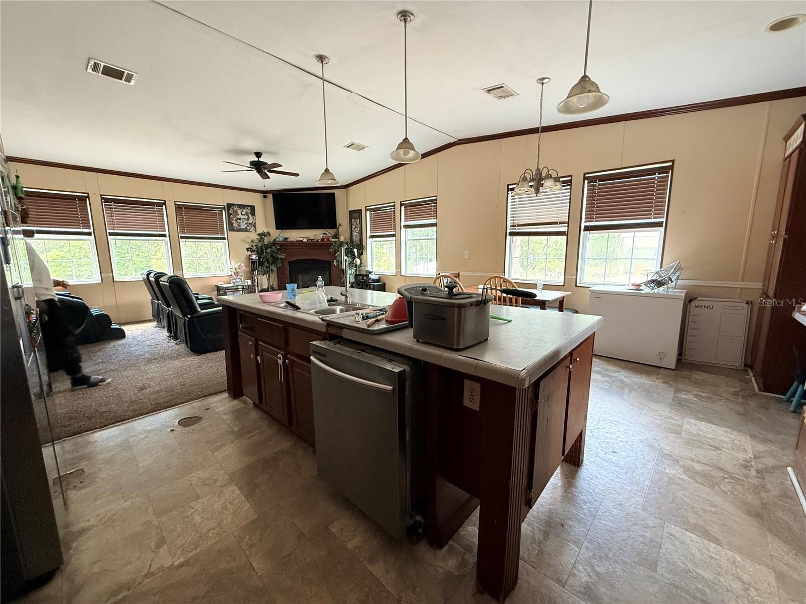 21520 SE 147TH LN, UMATILLA, FL, 32784