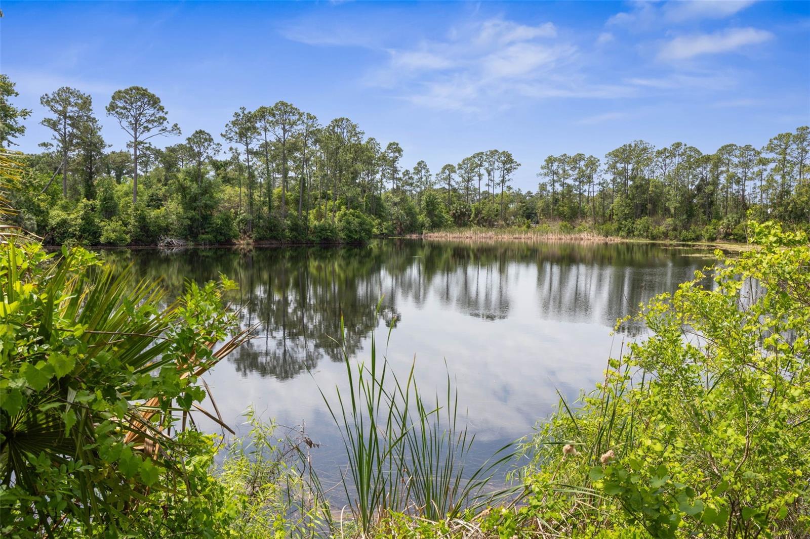 47 AUBERRY DR, PALM COAST, FL, 32137