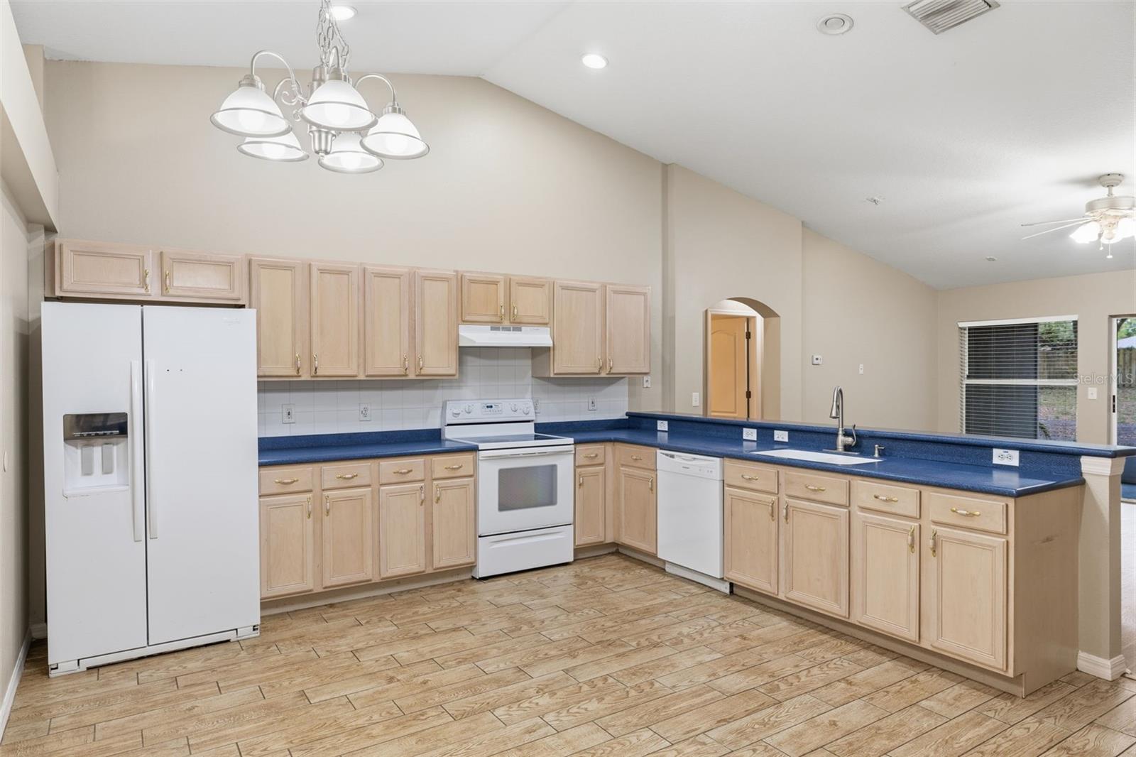 16208 SWENSON TER, LUTZ, FL, 33549
