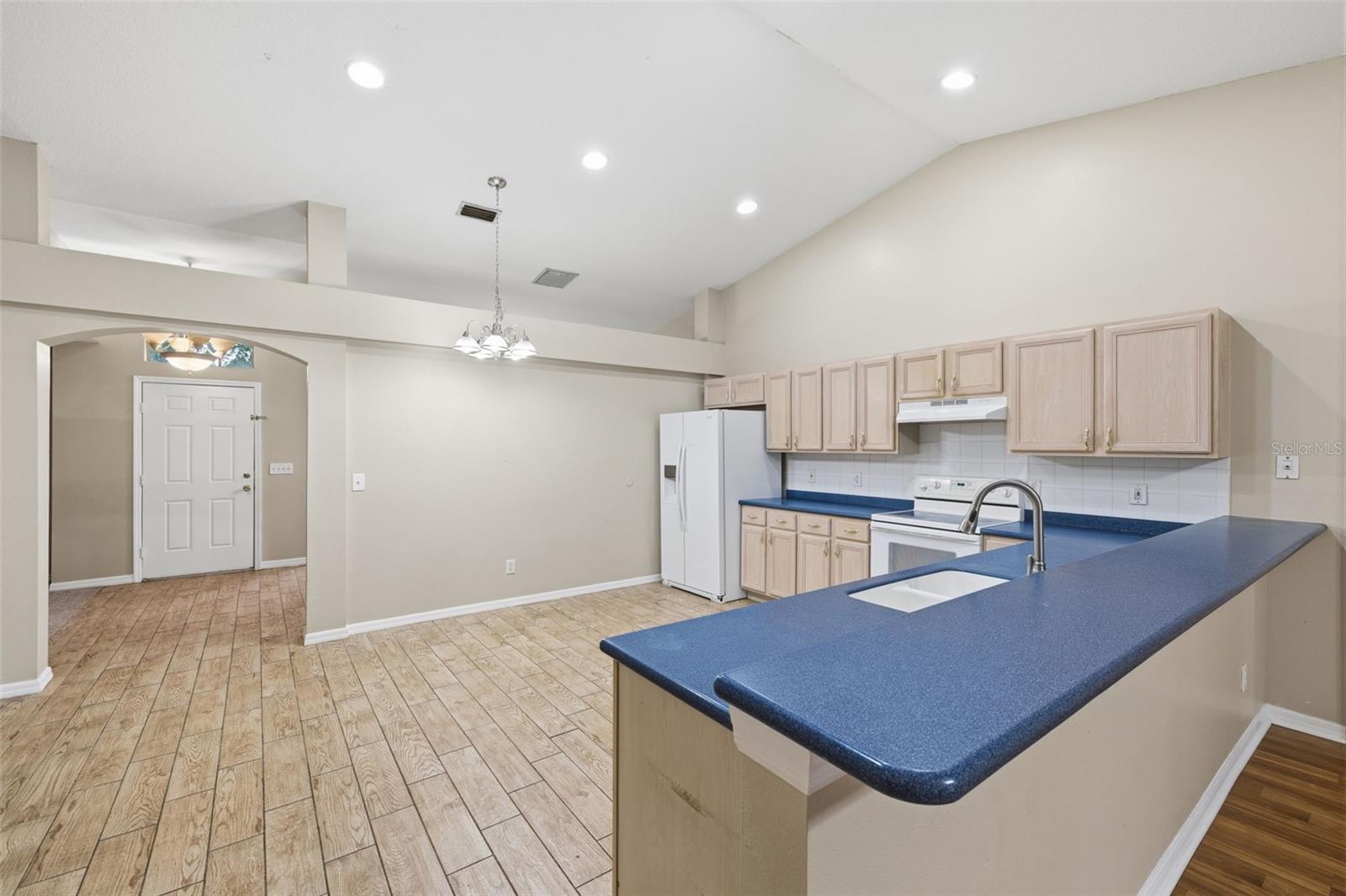 16208 SWENSON TER, LUTZ, FL, 33549