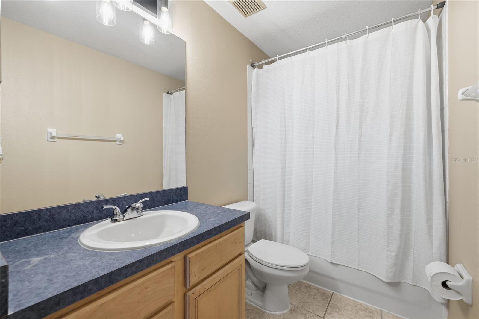 16208 SWENSON TER, LUTZ, FL, 33549