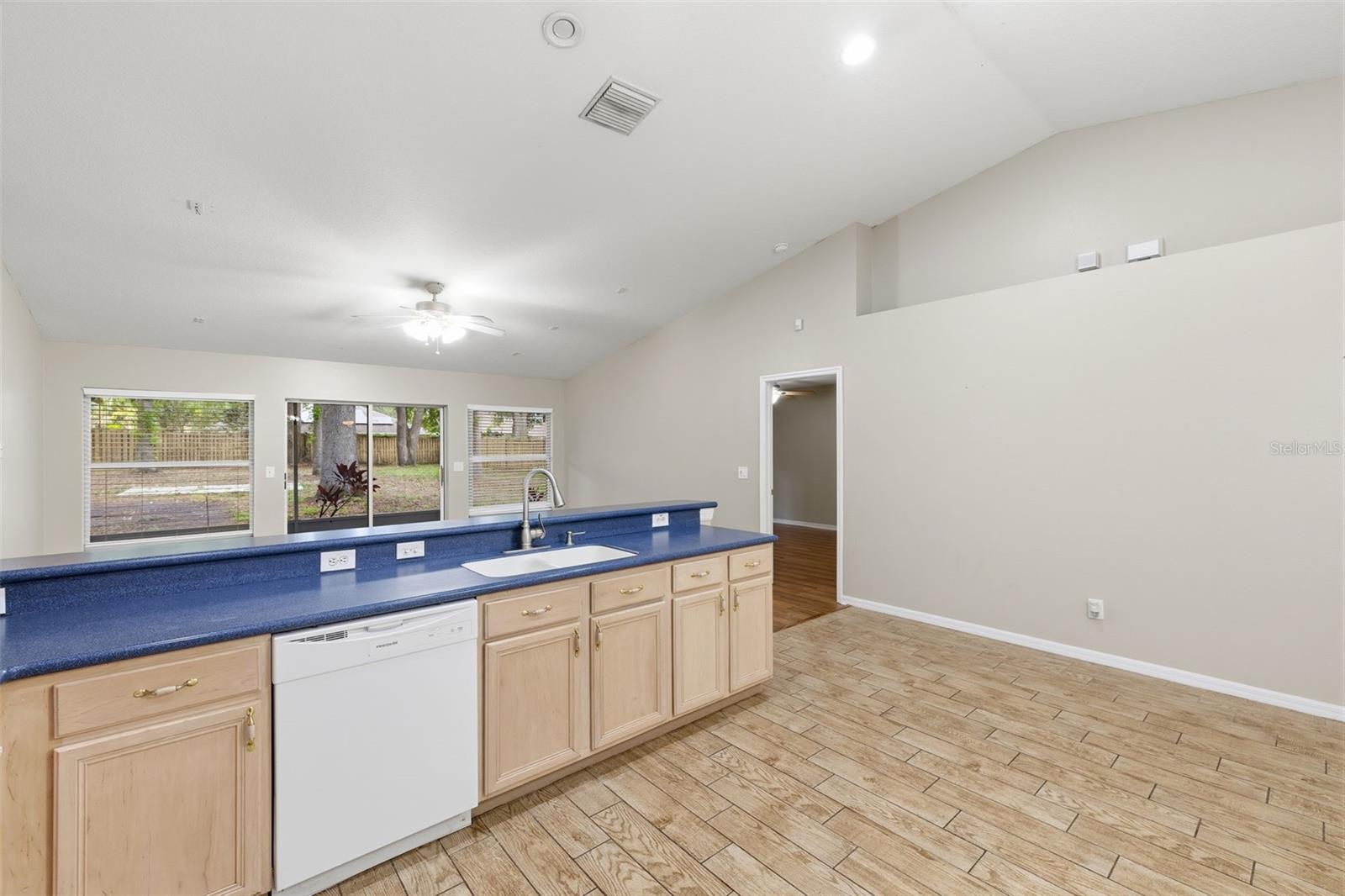 16208 SWENSON TER, LUTZ, FL, 33549