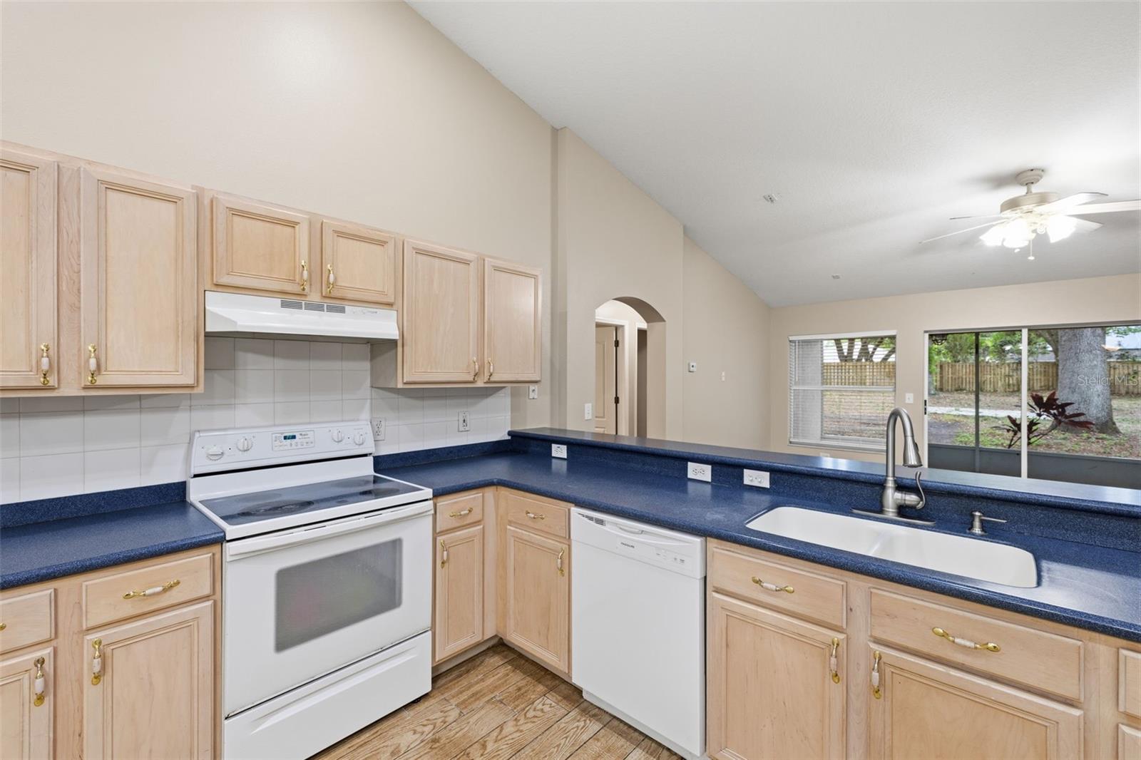 16208 SWENSON TER, LUTZ, FL, 33549