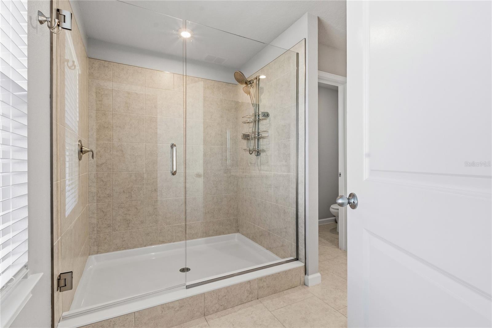 4062 CLOUD HOPPER WAY, LUTZ, FL, 33559