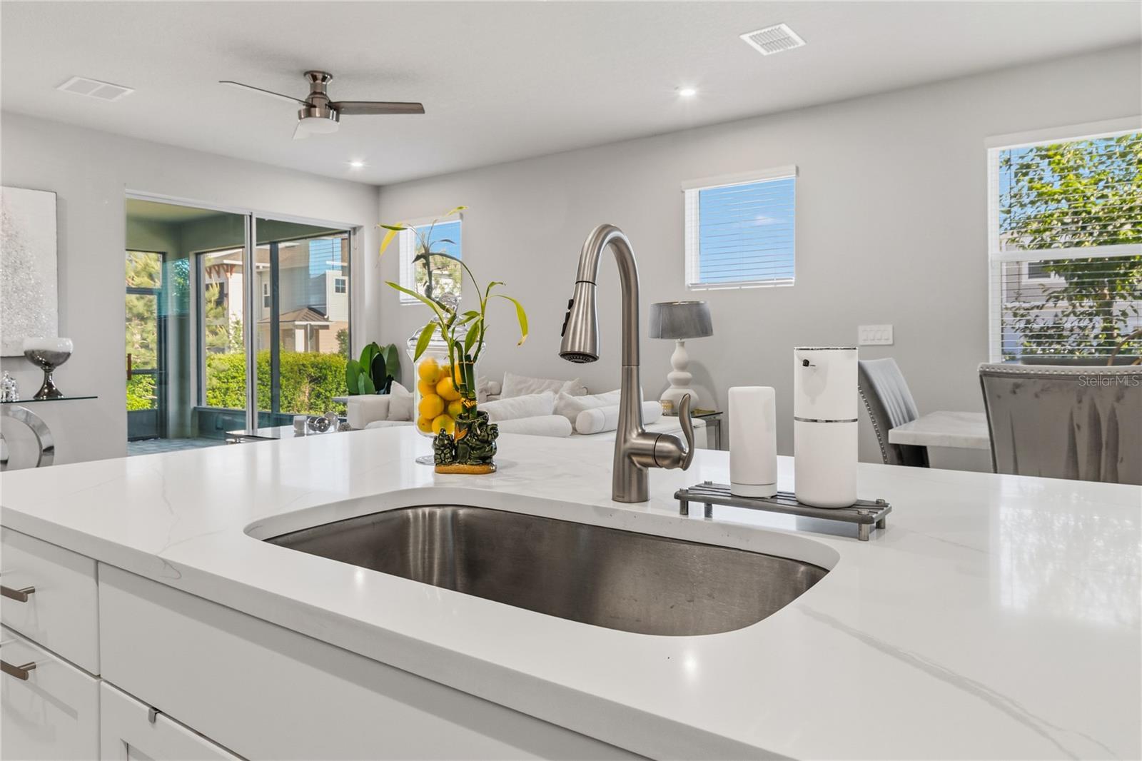 4062 CLOUD HOPPER WAY, LUTZ, FL, 33559