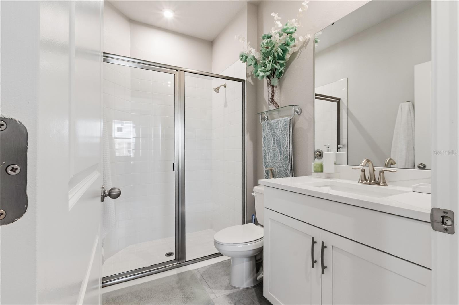 4062 CLOUD HOPPER WAY, LUTZ, FL, 33559