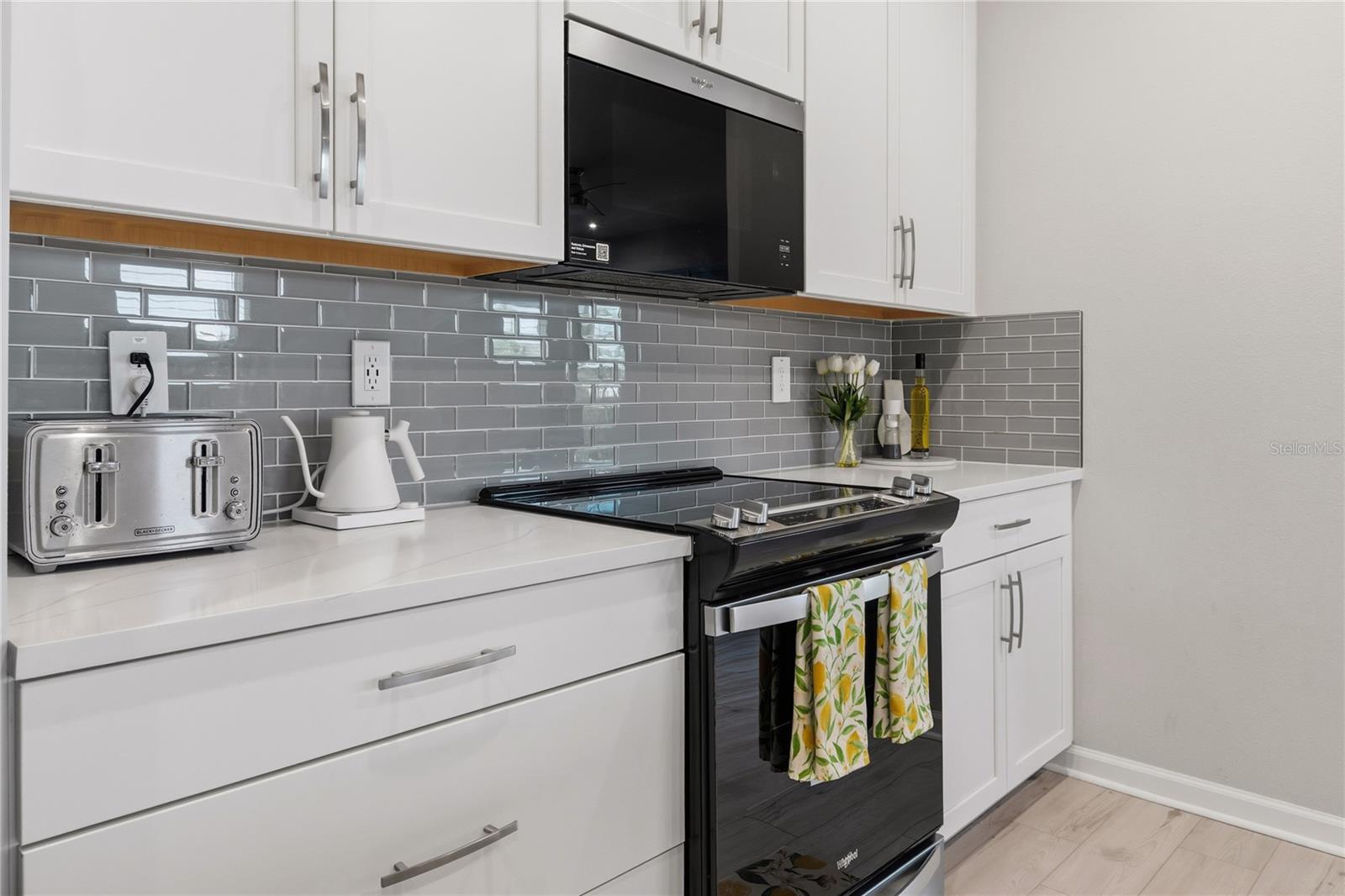 4062 CLOUD HOPPER WAY, LUTZ, FL, 33559