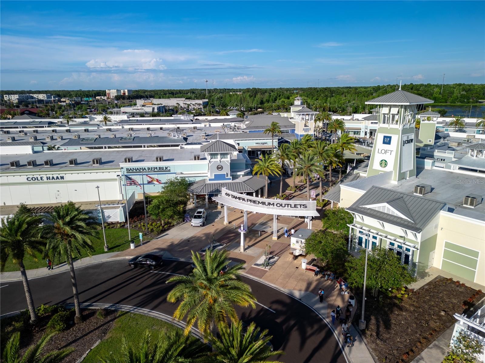 4062 CLOUD HOPPER WAY, LUTZ, FL, 33559