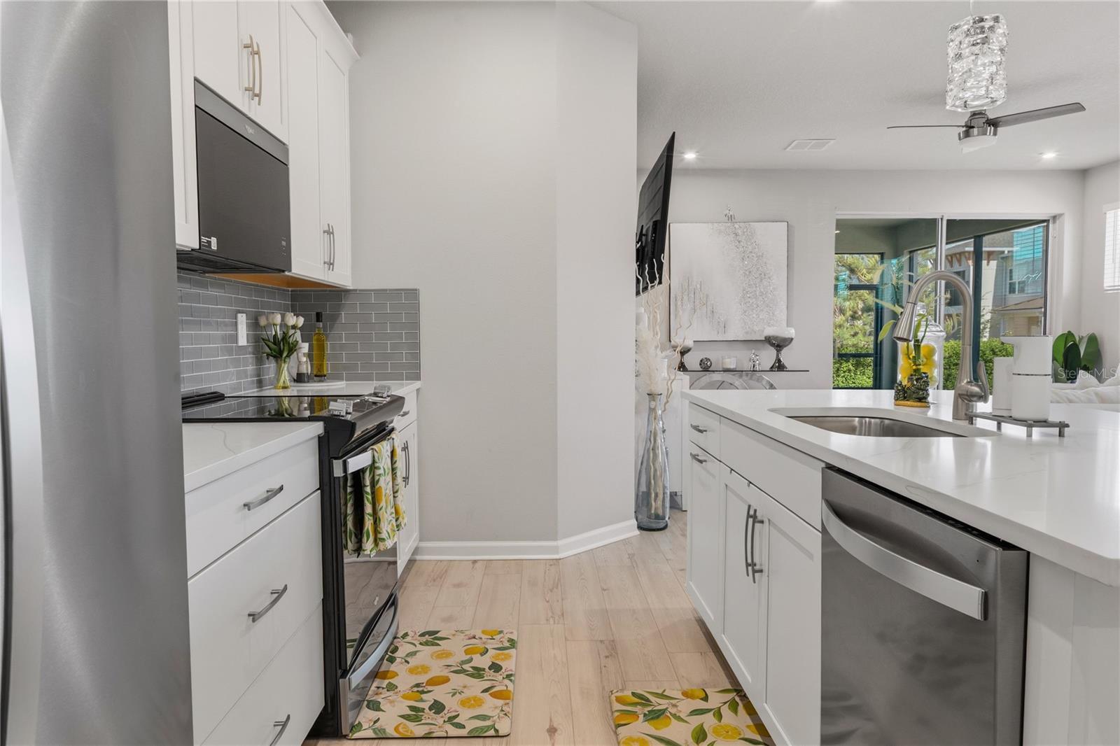 4062 CLOUD HOPPER WAY, LUTZ, FL, 33559
