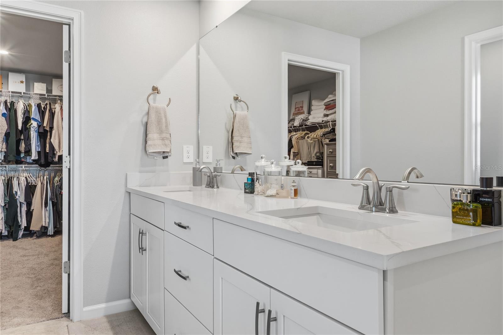4062 CLOUD HOPPER WAY, LUTZ, FL, 33559