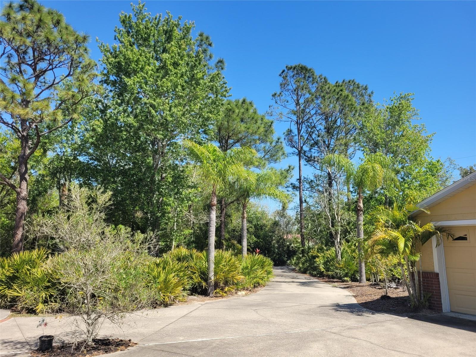 3150 APPALOOSA CT, KISSIMMEE, FL, 34746