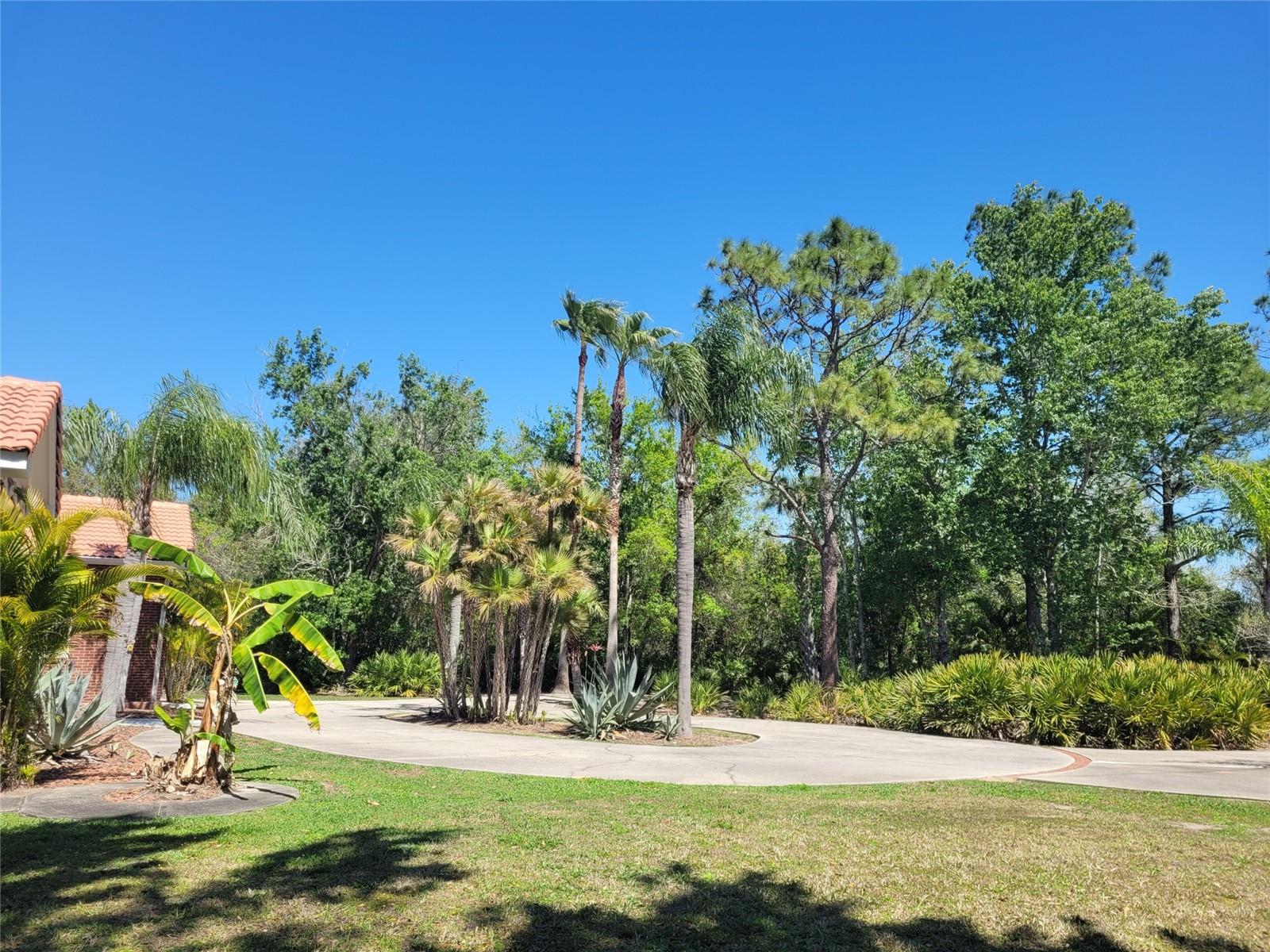 3150 APPALOOSA CT, KISSIMMEE, FL, 34746