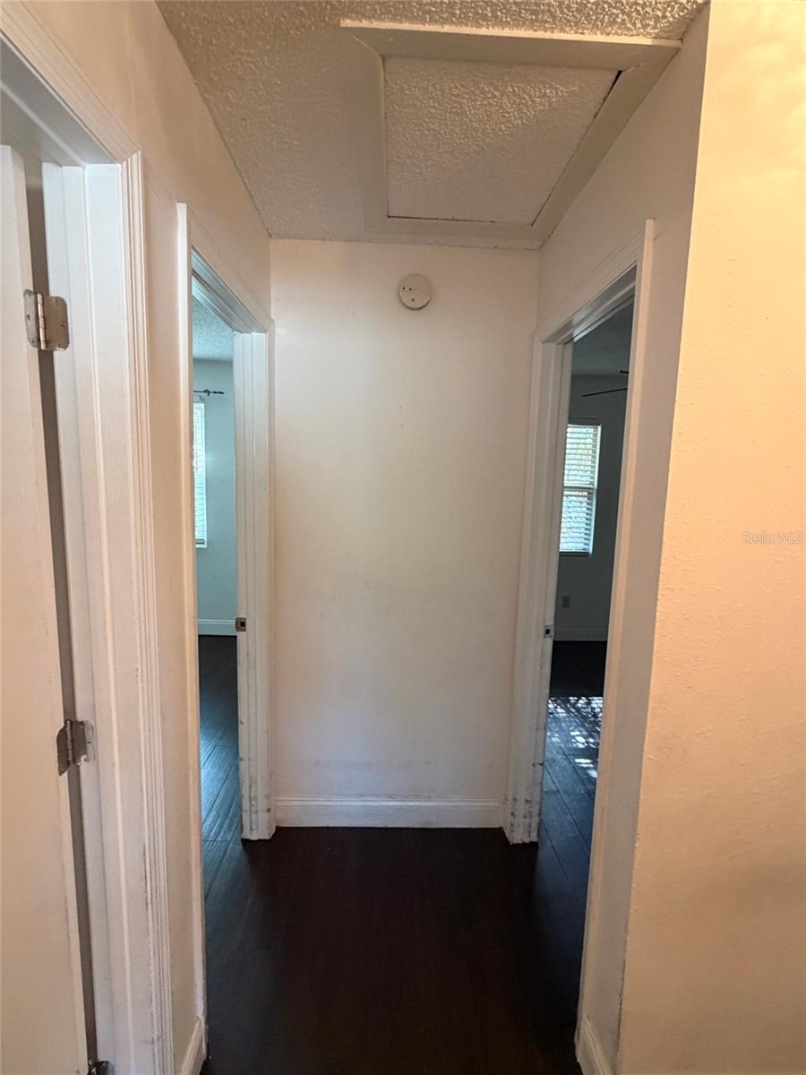 14802 N 30TH ST, LUTZ, FL, 33559