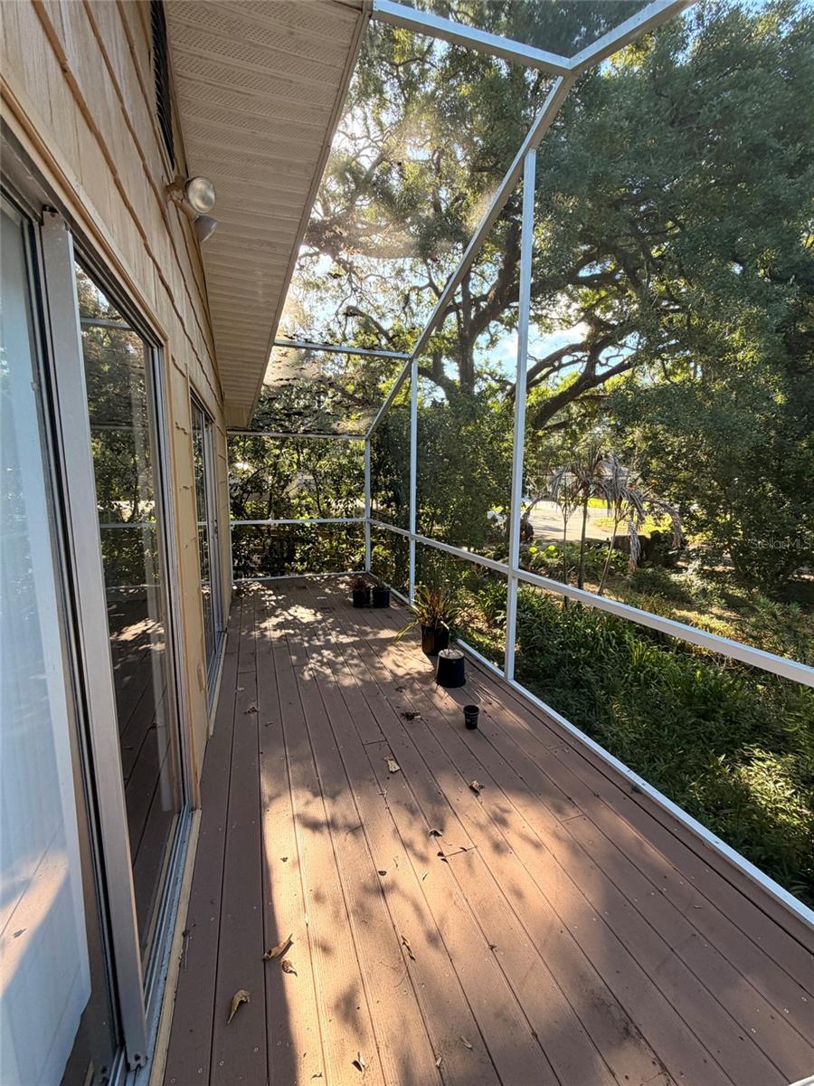 14802 N 30TH ST, LUTZ, FL, 33559